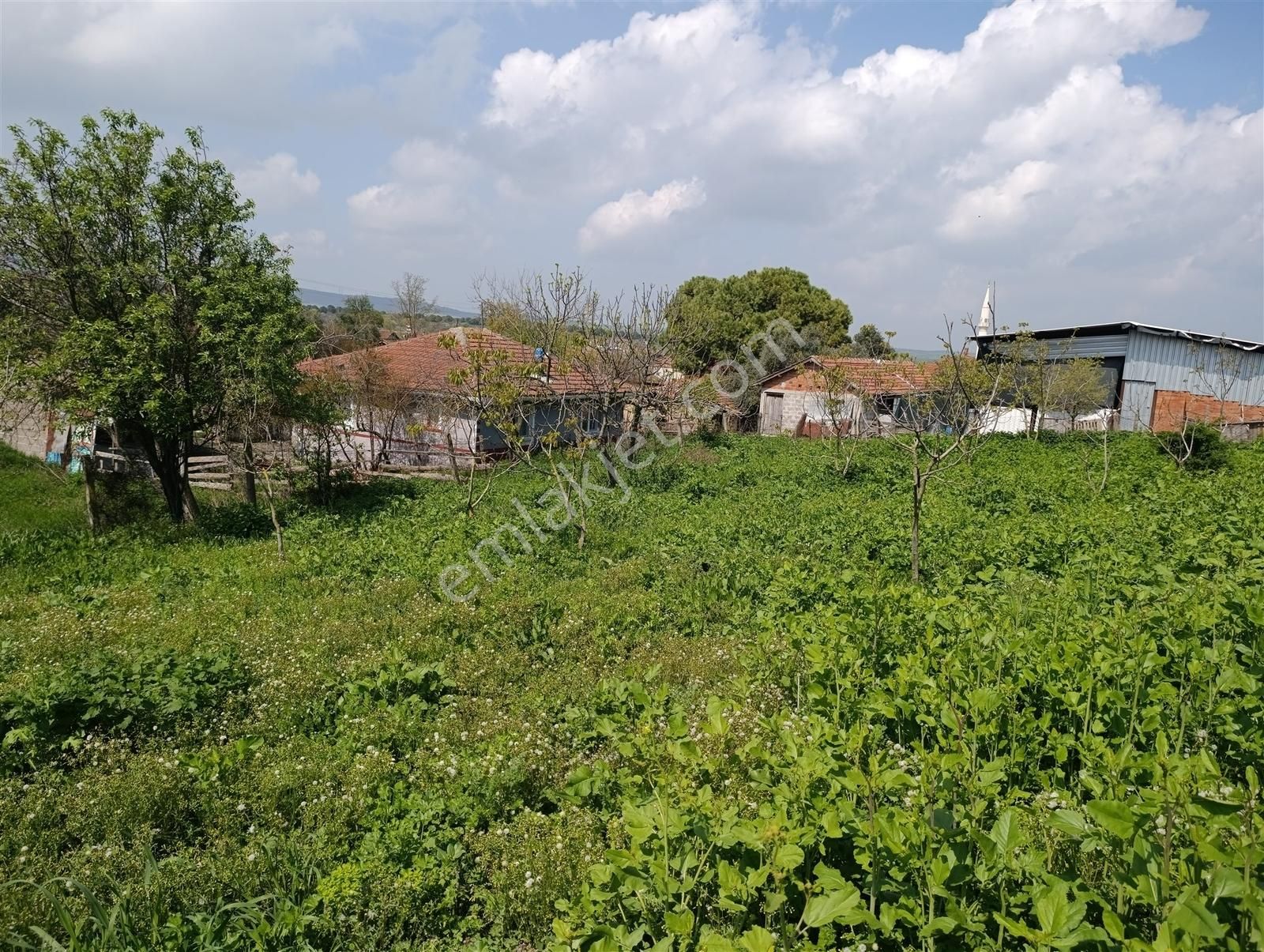 1.470 M2 Müstakil Köy Evi Arsa Meyve Bahçeli Bağ-bahçe Asmalıder - Görsel 33