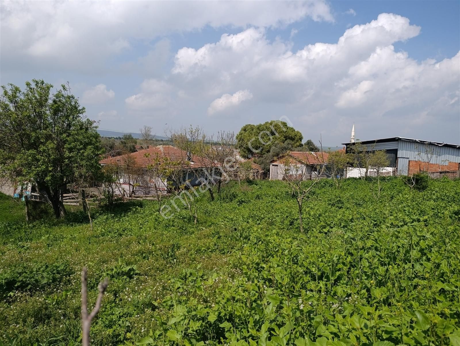 1.470 M2 Müstakil Köy Evi Arsa Meyve Bahçeli Bağ-bahçe Asmalıder - Görsel 18