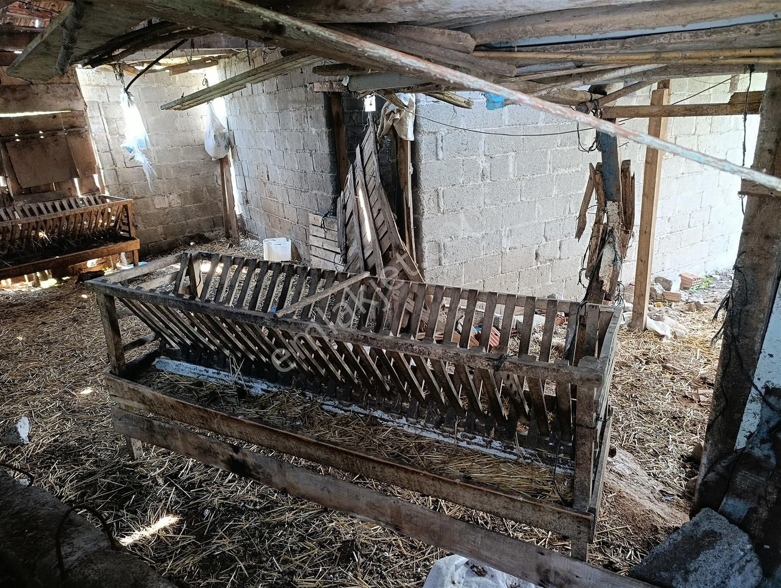 1.470 M2 Müstakil Köy Evi Arsa Meyve Bahçeli Bağ-bahçe Asmalıder - Görsel 5