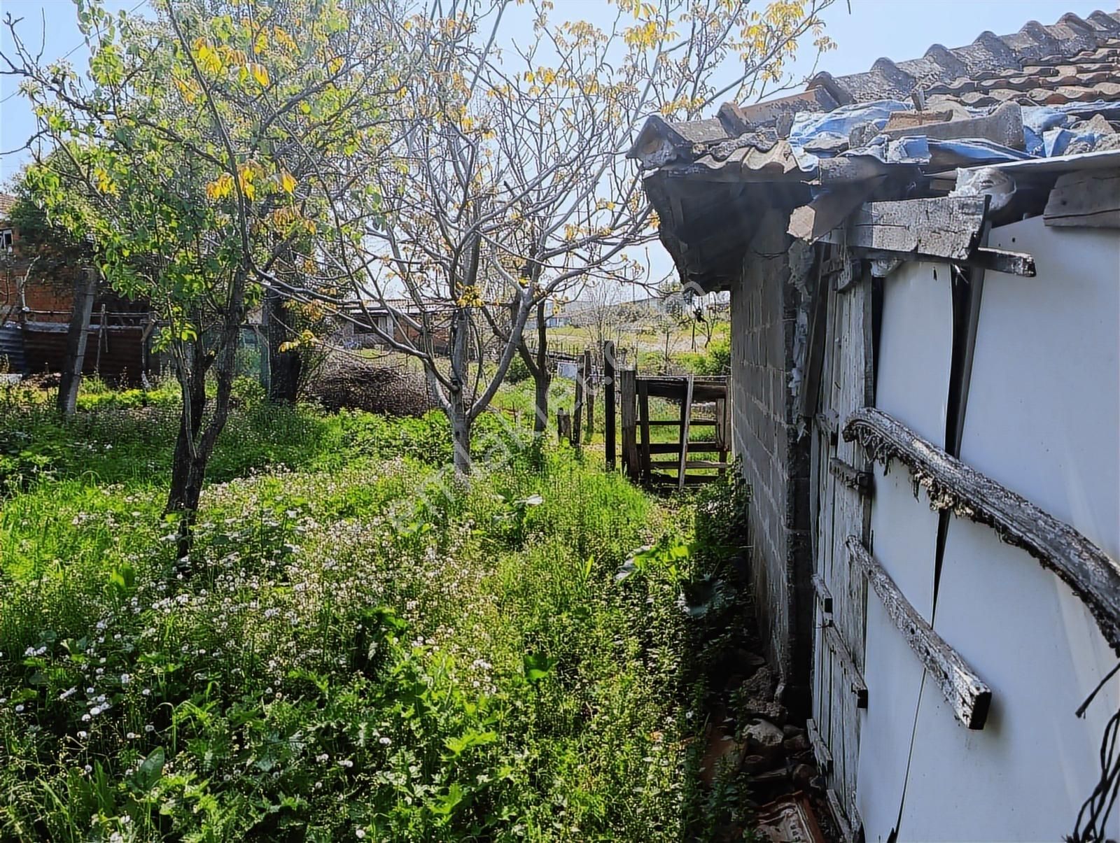 1.470 M2 Müstakil Köy Evi Arsa Meyve Bahçeli Bağ-bahçe Asmalıder - Görsel 12