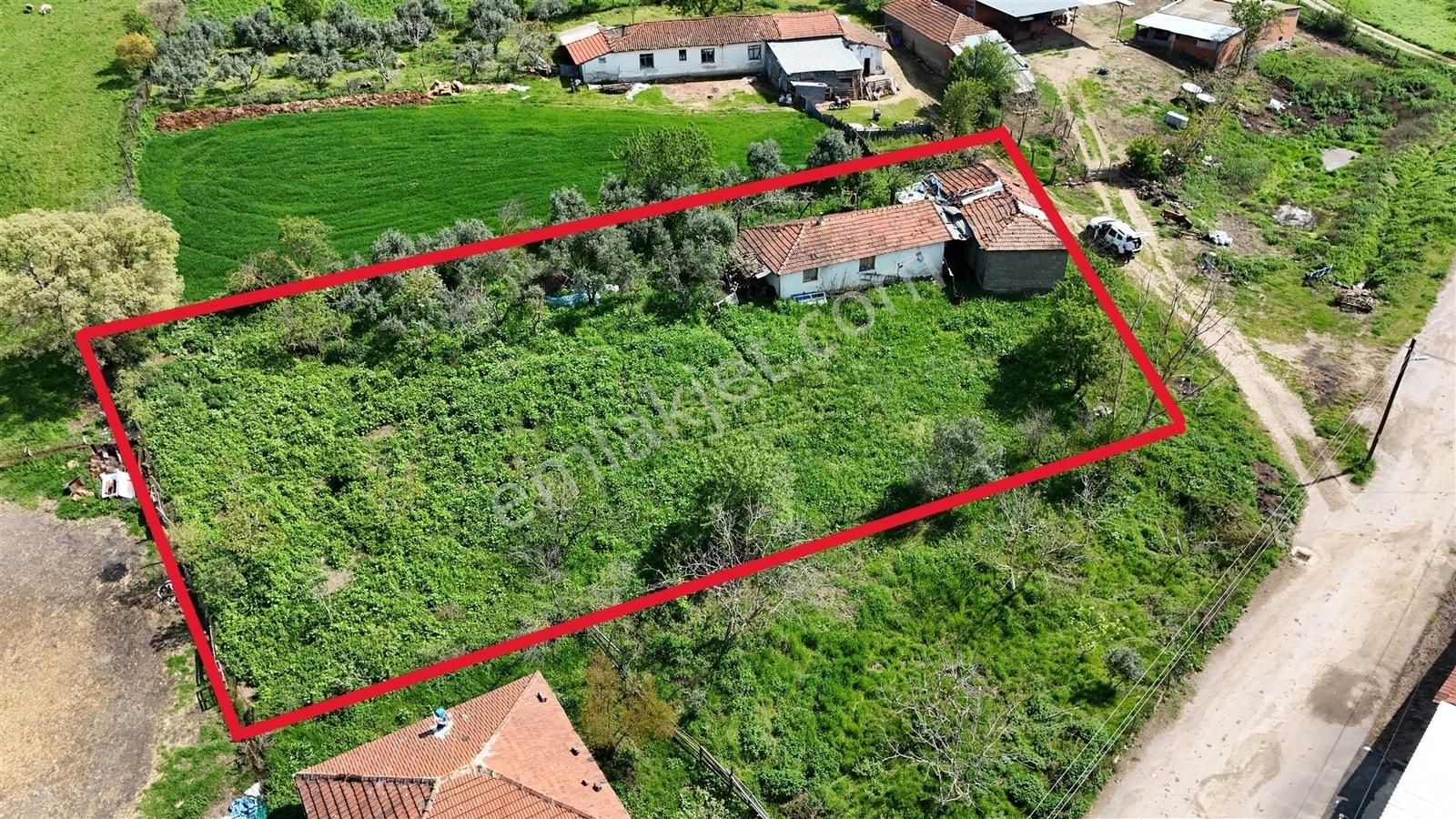 1.470 M2 Müstakil Köy Evi Arsa Meyve Bahçeli Bağ-bahçe Asmalıder - Görsel 6