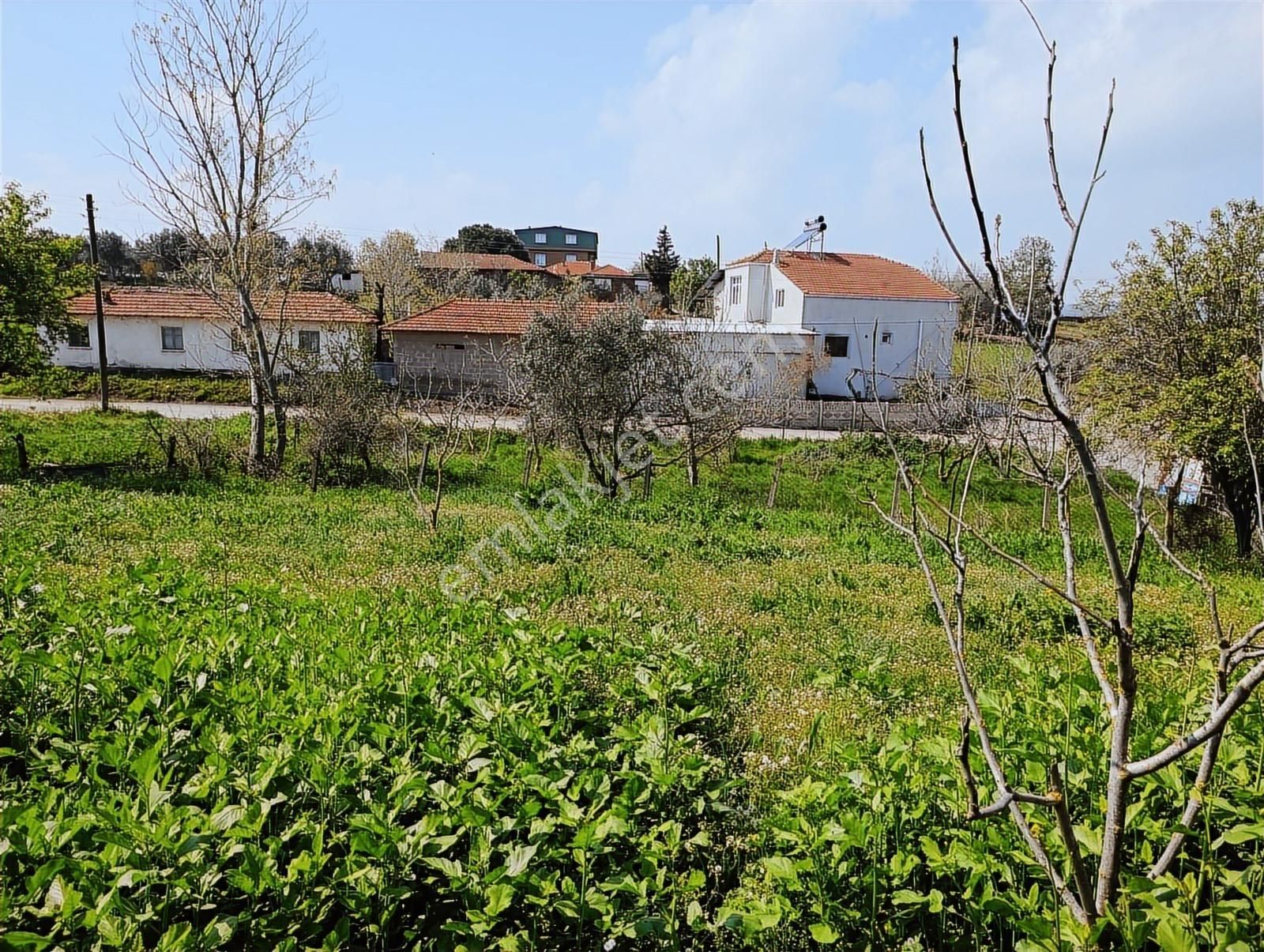 1.470 M2 Müstakil Köy Evi Arsa Meyve Bahçeli Bağ-bahçe Asmalıder - Görsel 10