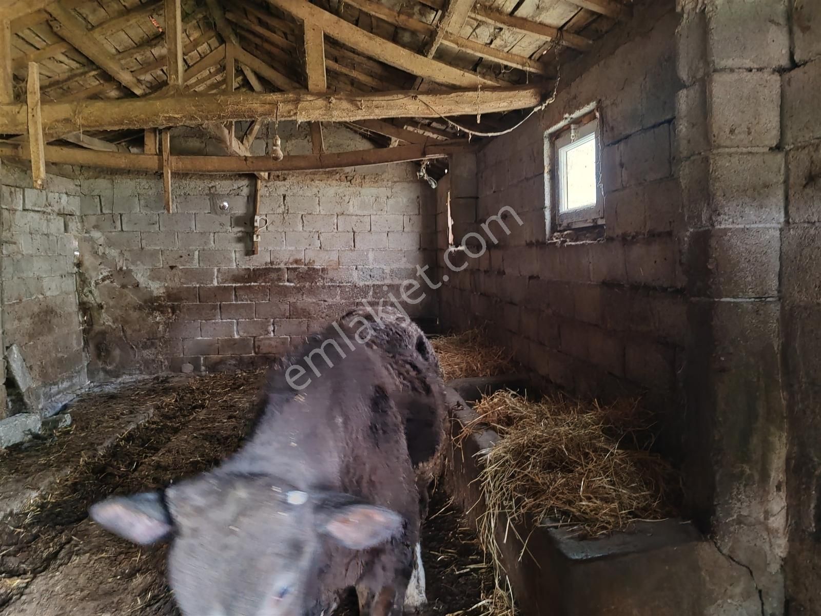 1.400 M2 Müstakil Köy Evi, Arsa 2 Kat %40 İmarlı Gönen Çakmak'ta - Görsel 11