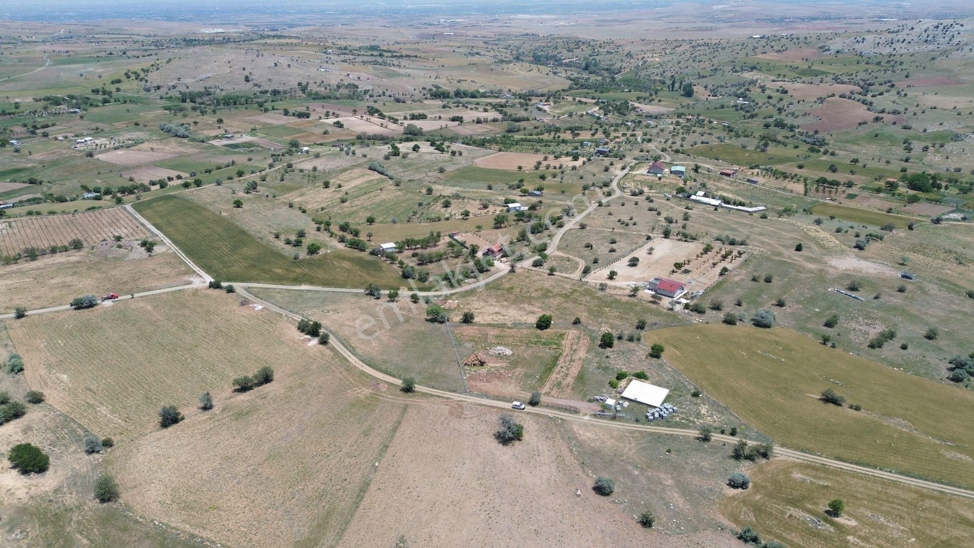 Konya / Meram / Karadiğin Mahallesinde 4.600 M² Müstakil Tapulu Tarla - Görsel 2