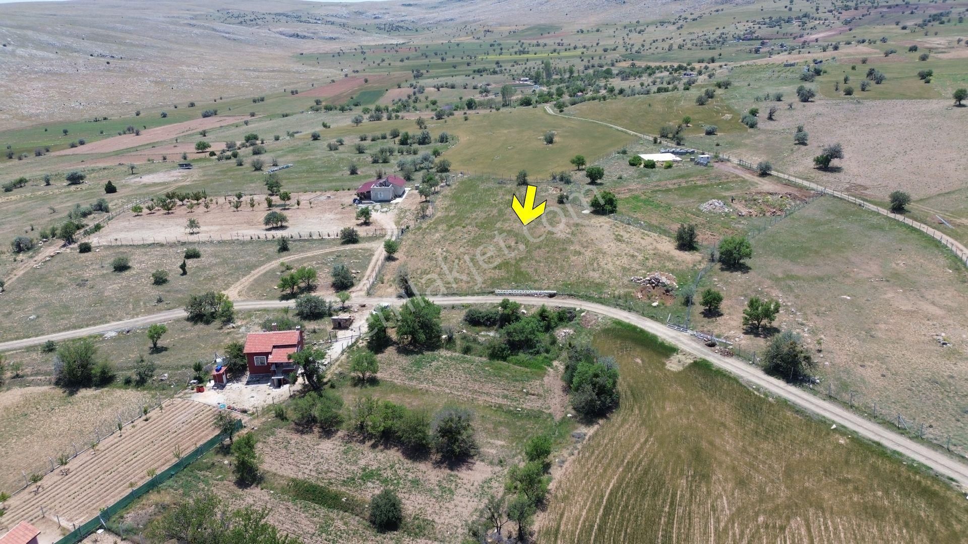 Konya / Meram / Karadiğin Mahallesinde 4.600 M² Müstakil Tapulu Tarla - Görsel 4