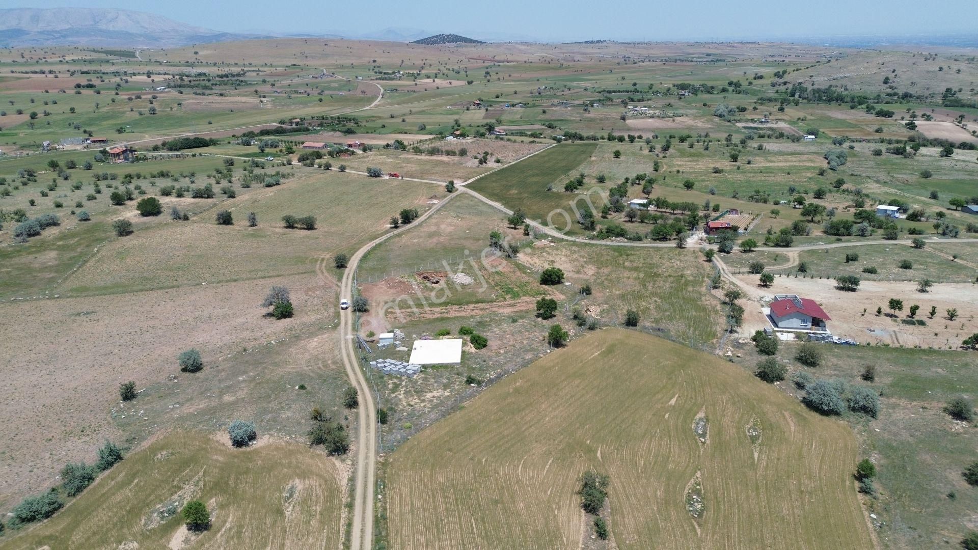 Konya / Meram / Karadiğin Mahallesinde 4.600 M² Müstakil Tapulu Tarla - Görsel 8