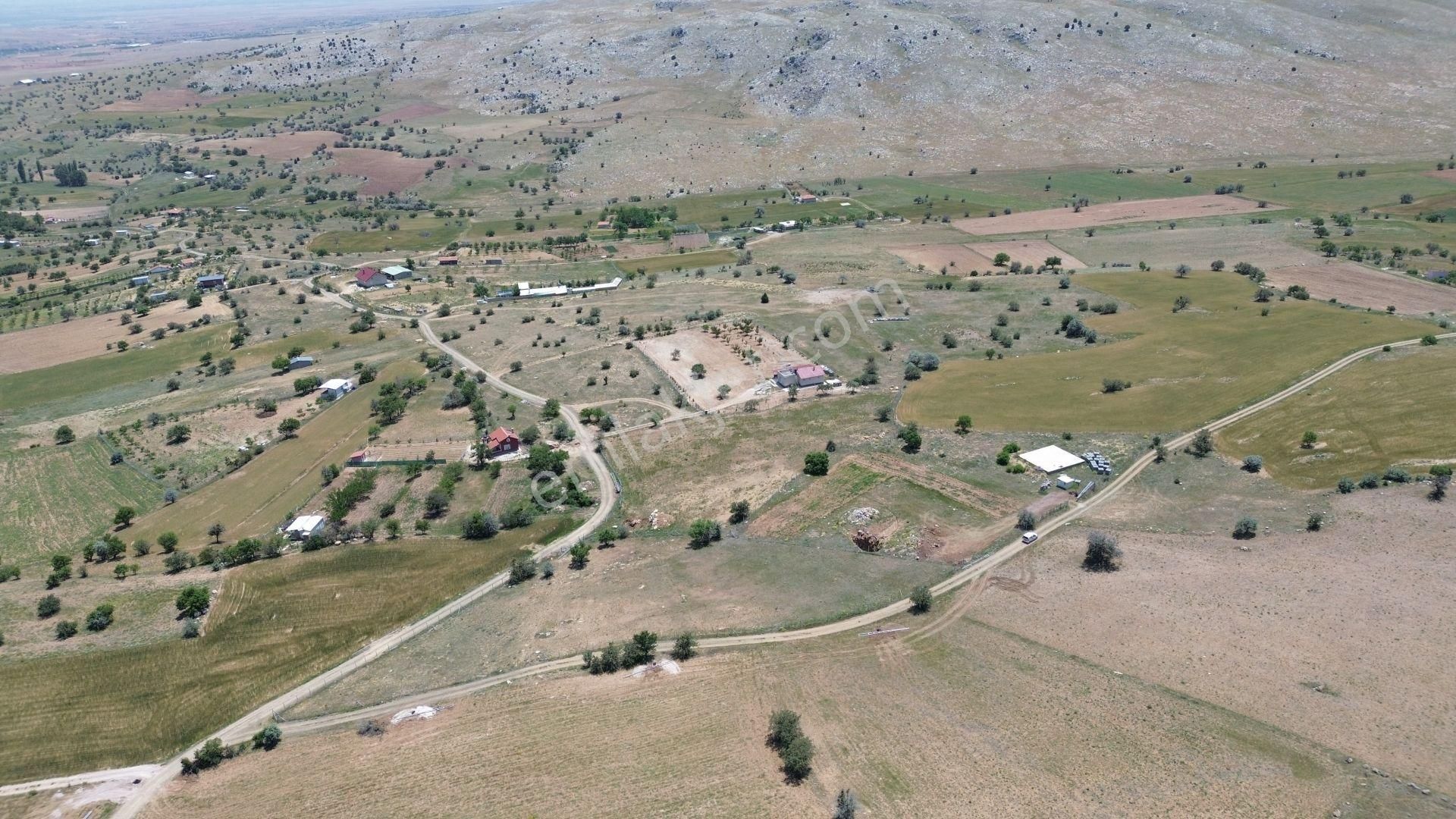 Konya / Meram / Karadiğin Mahallesinde 4.600 M² Müstakil Tapulu Tarla - Görsel 5