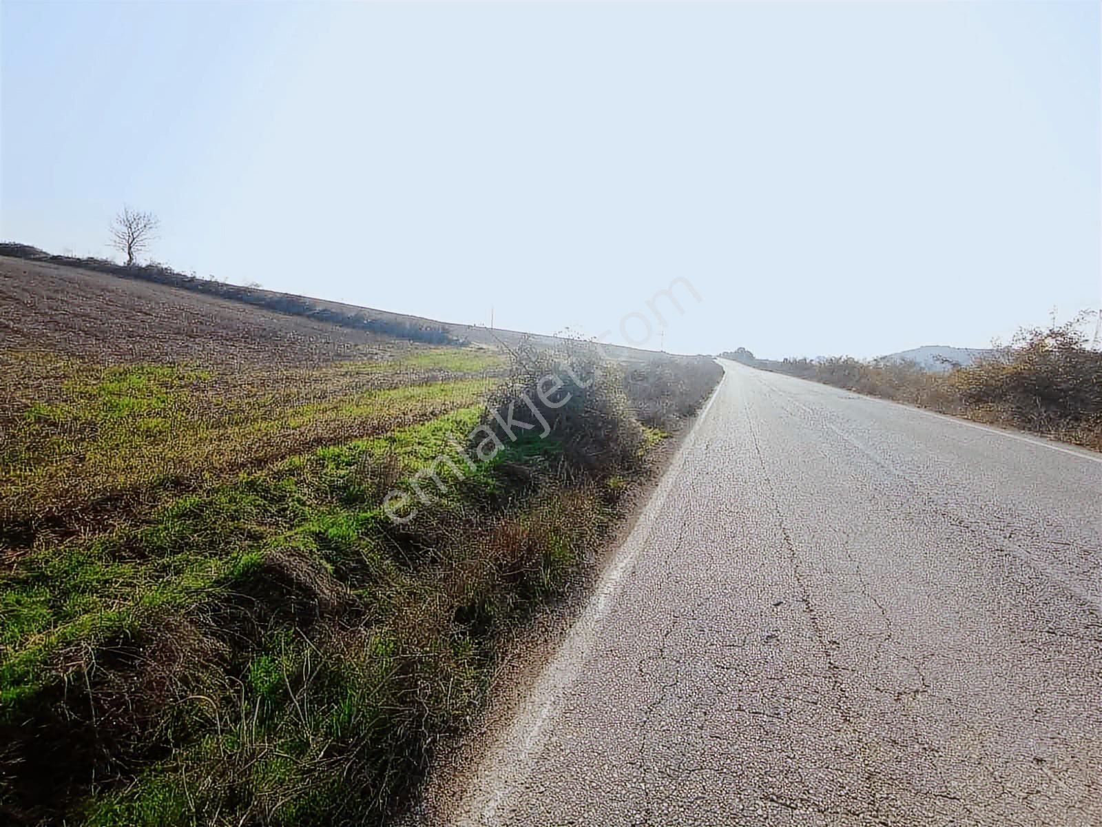 Megeden Karacabey Hayırlarda Yola 200 M Cepheli Satılık Tarla