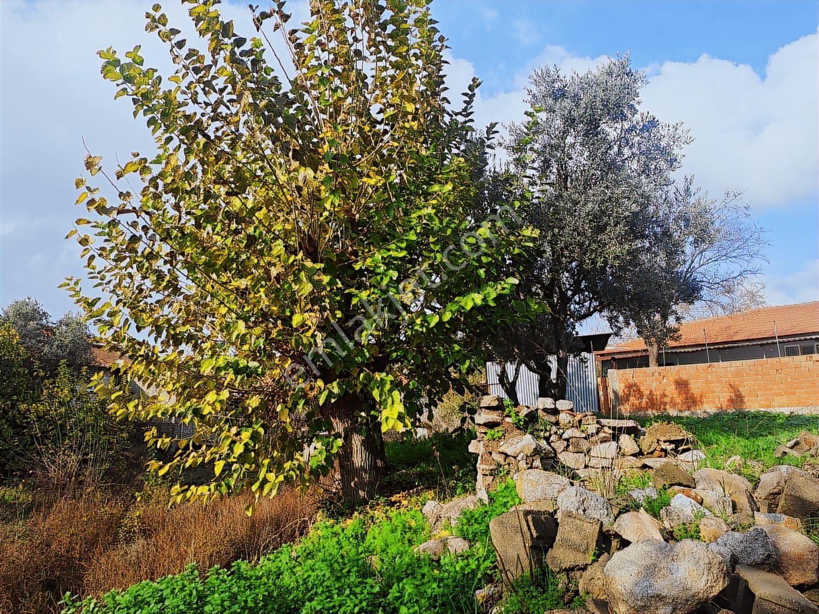 Sarıköyde 427 M² Satılık Müstakil Ev Yapımına Uygun İmarlı Arsa - Görsel 6