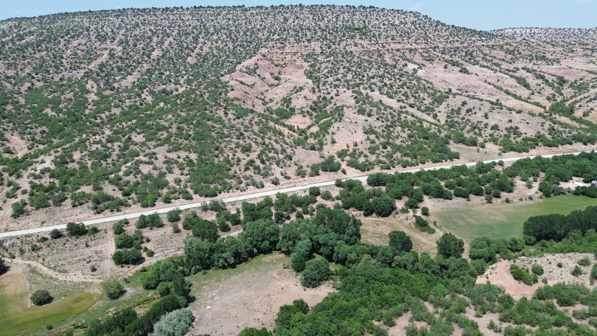 Konya / Meram / Güneydere Mahallesinde 4.300 M² Müstakil Tapulu Tarla - Görsel 3