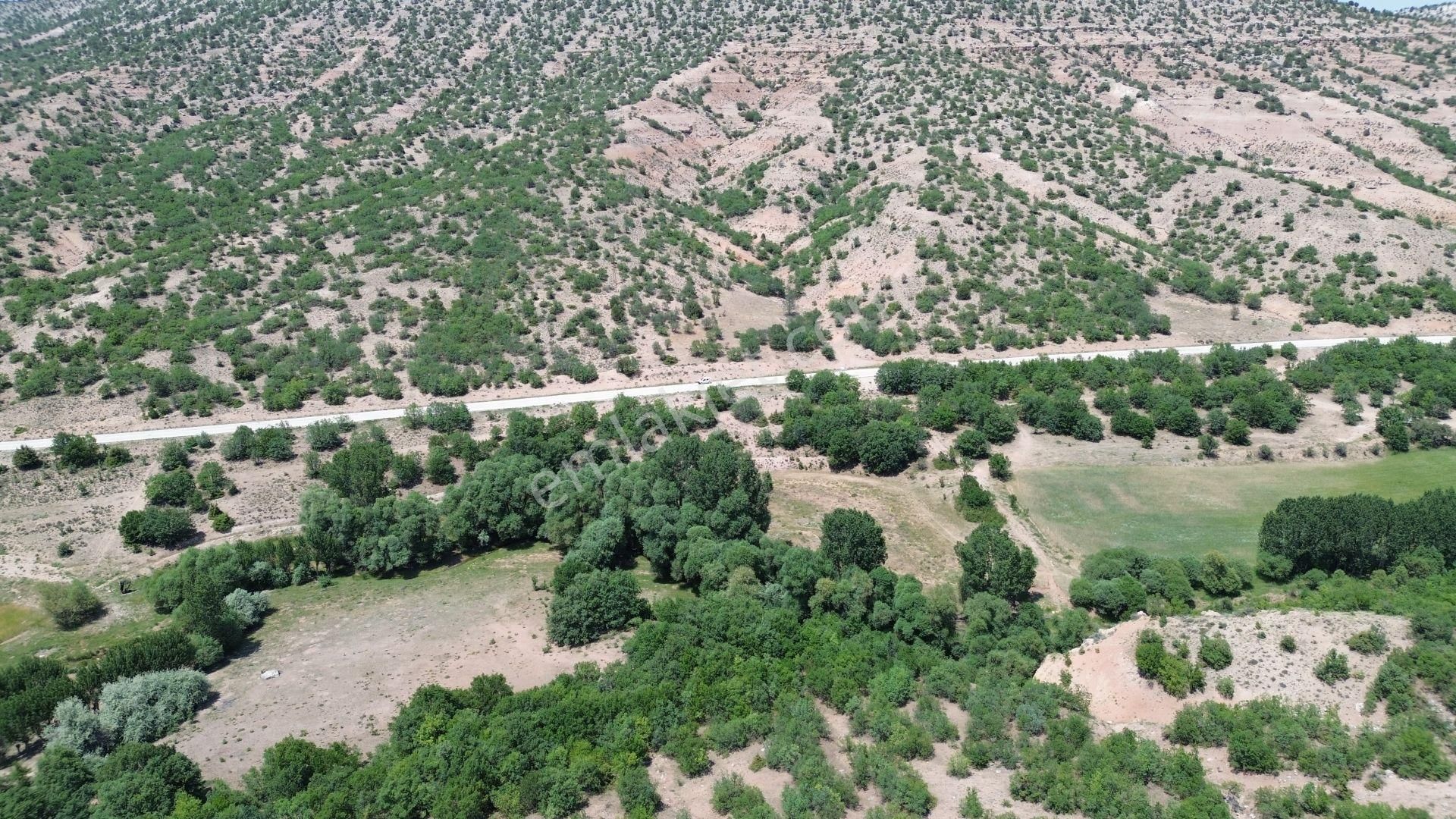 Konya / Meram / Güneydere Mahallesinde 4.300 M² Müstakil Tapulu Tarla - Görsel 7