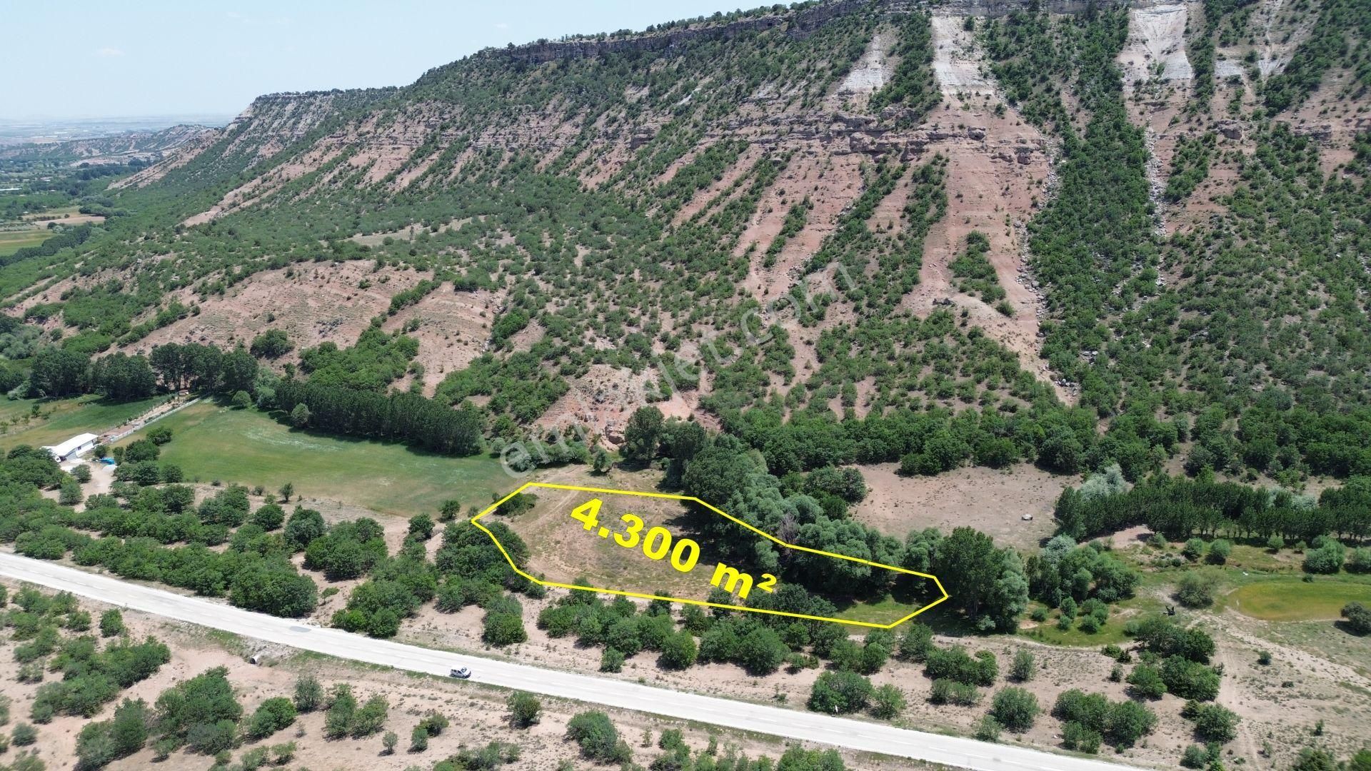 Konya / Meram / Güneydere Mahallesinde 4.300 M² Müstakil Tapulu Tarla
