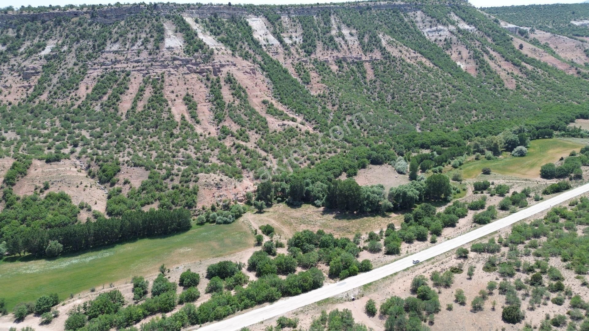 Konya / Meram / Güneydere Mahallesinde 4.300 M² Müstakil Tapulu Tarla - Görsel 4