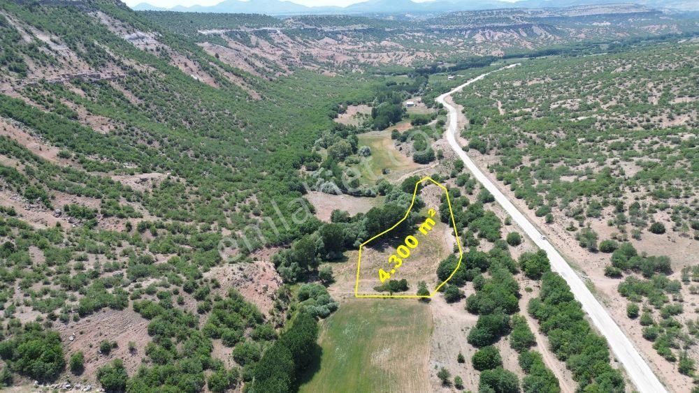 Konya / Meram / Güneydere Mahallesinde 4.300 M² Müstakil Tapulu Tarla - Görsel 5