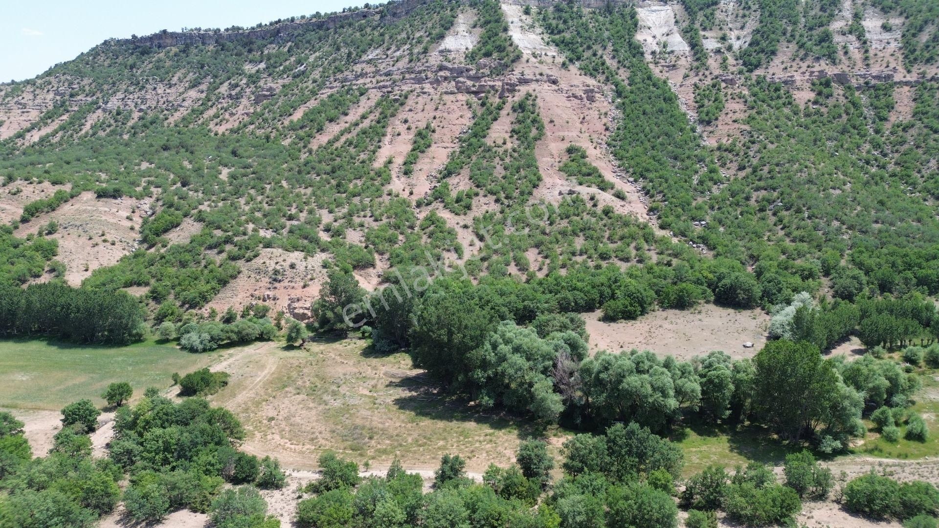 Konya / Meram / Güneydere Mahallesinde 4.300 M² Müstakil Tapulu Tarla - Görsel 2
