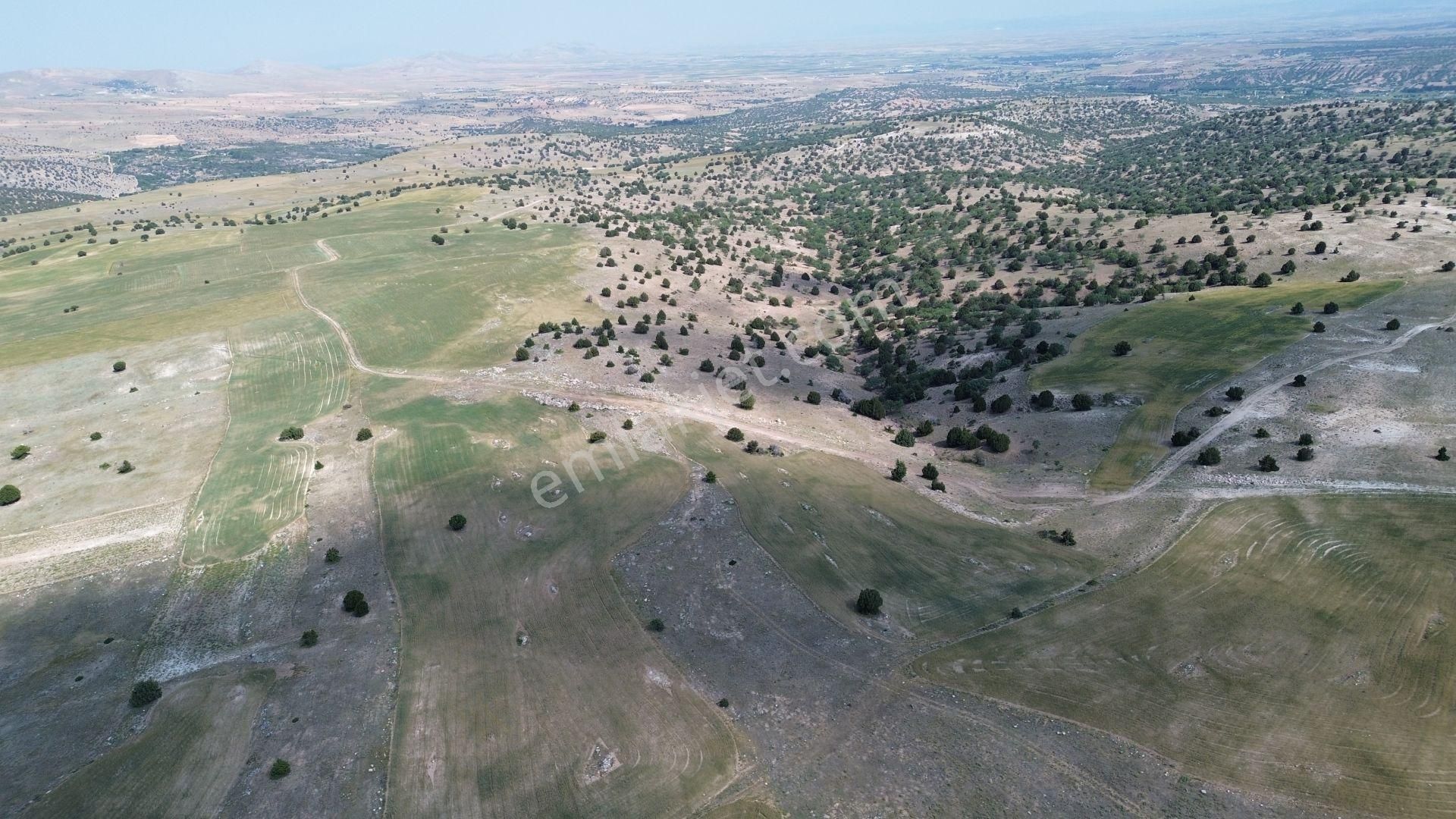 Konya / Meram / Güneydere Mahallesinde 1.740 M² Müstakil Tapulu Tarla - Görsel 6