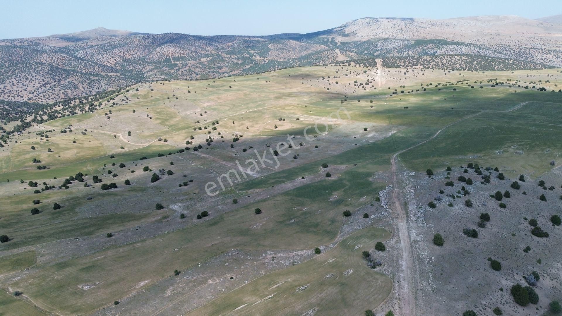 Konya / Meram / Güneydere Mahallesinde 1.740 M² Müstakil Tapulu Tarla - Görsel 5