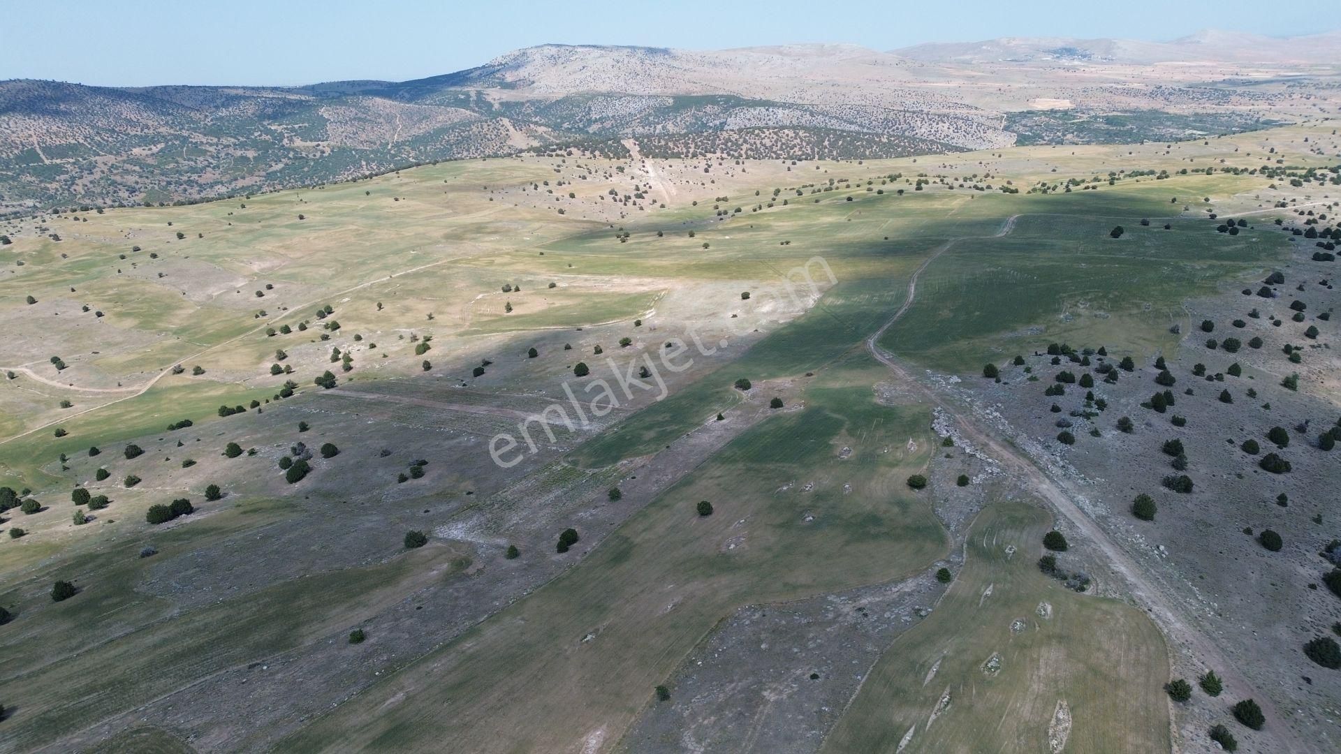 Konya / Meram / Güneydere Mahallesinde 1.740 M² Müstakil Tapulu Tarla - Görsel 8