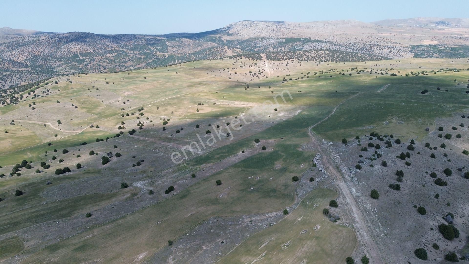 Konya / Meram / Güneydere Mahallesinde 1.740 M² Müstakil Tapulu Tarla - Görsel 7