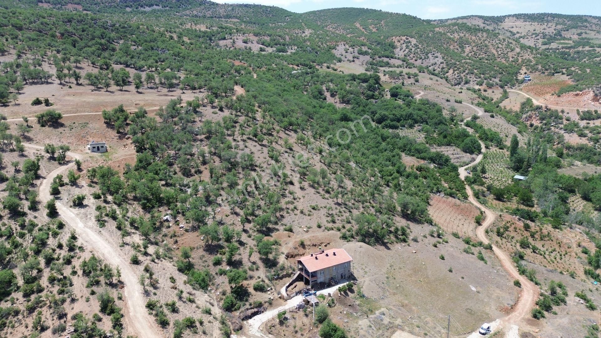 Konya / Hadim / Göynükkışla Mahallesinde 498 M² Müstakil Tapulu Tarla - Görsel 5