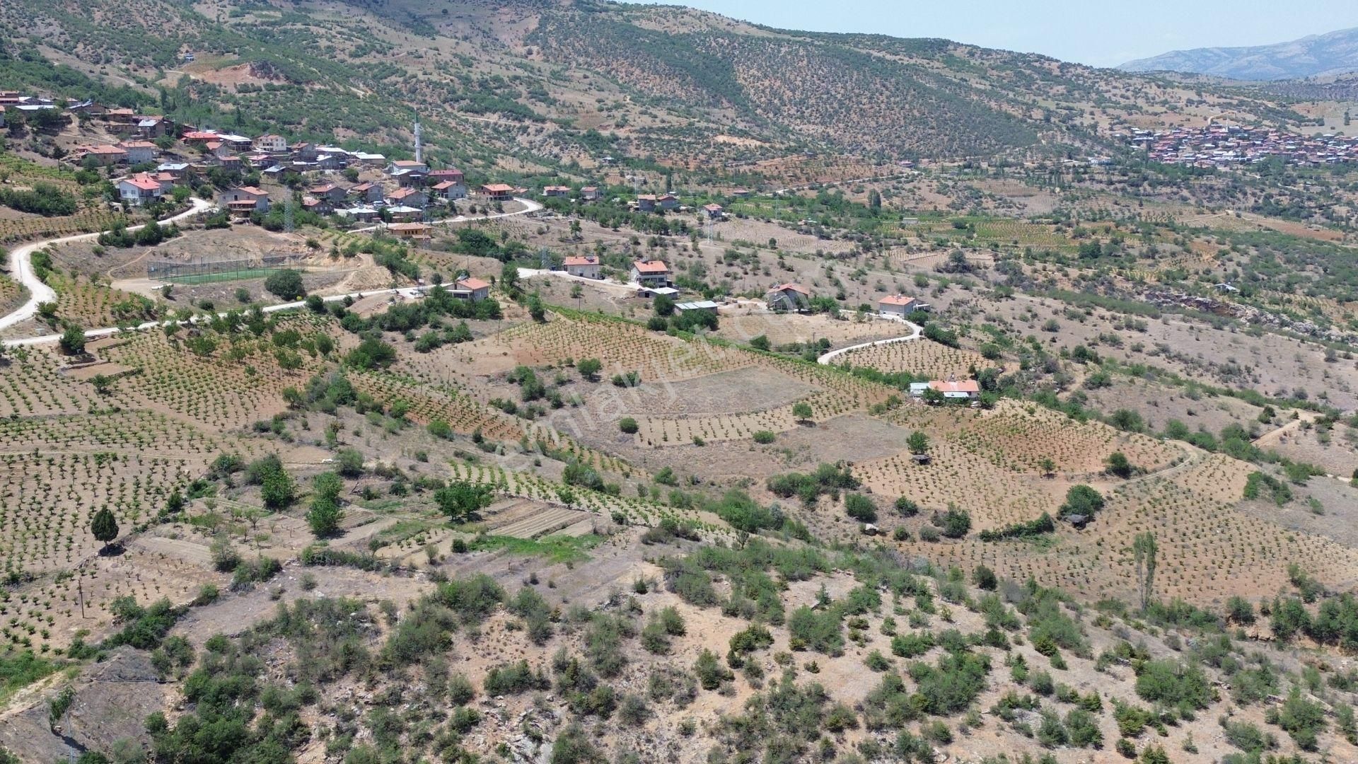 Konya / Hadim / Göynükkışla Mahallesinde 325 M² Müstakil Tapulu Bahçe - Görsel 5
