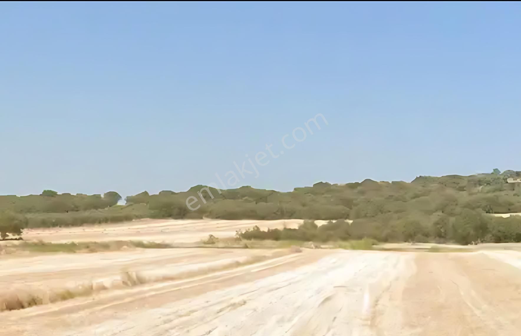 Alırken Kazanmanın Adresi ''fırsat Müzayede'' - Görsel 4