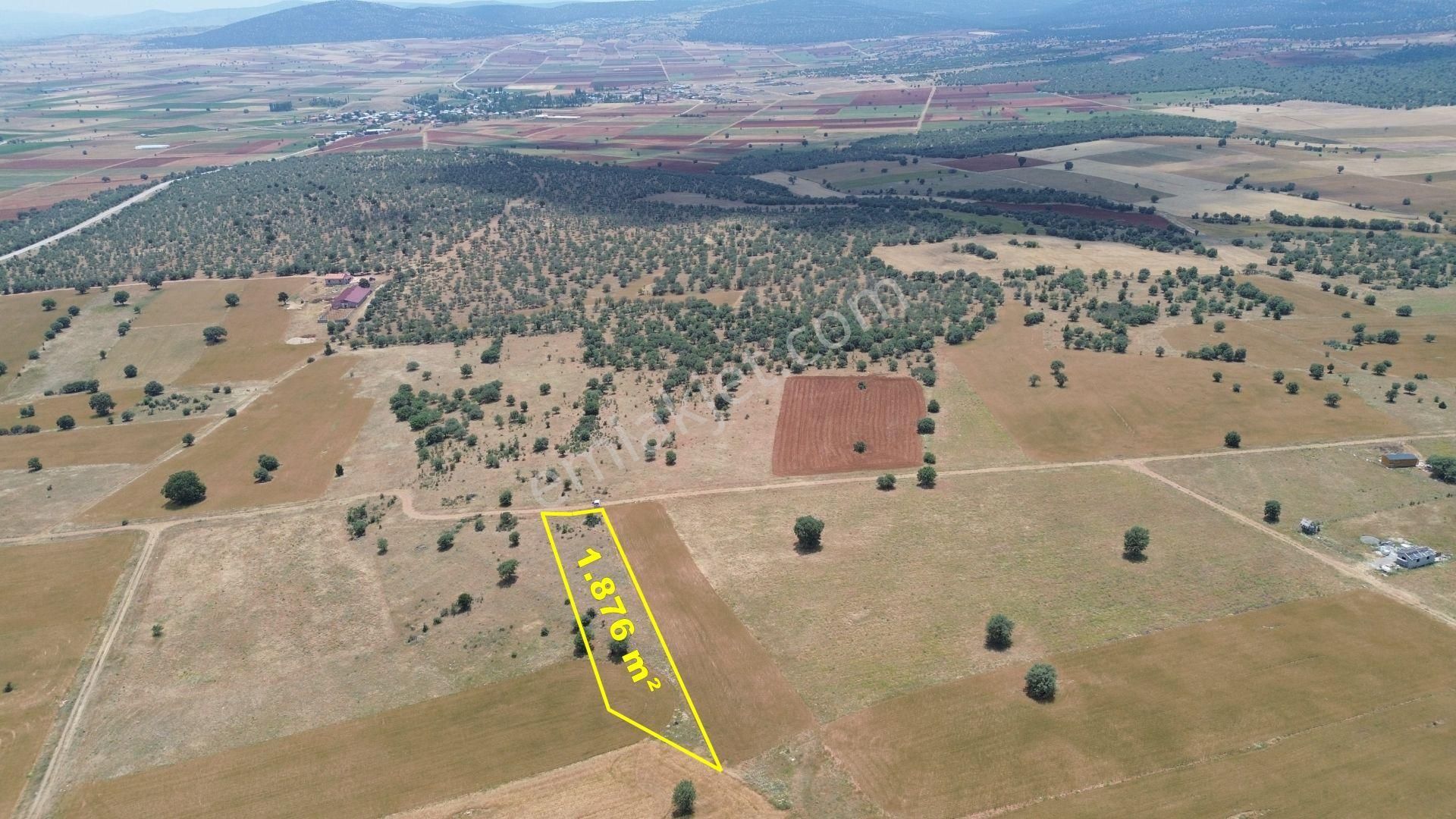 Konya / Akören / Ağalar Mahallesinde 1.876 M² Müstakil Tapulu Tarla - Görsel 4
