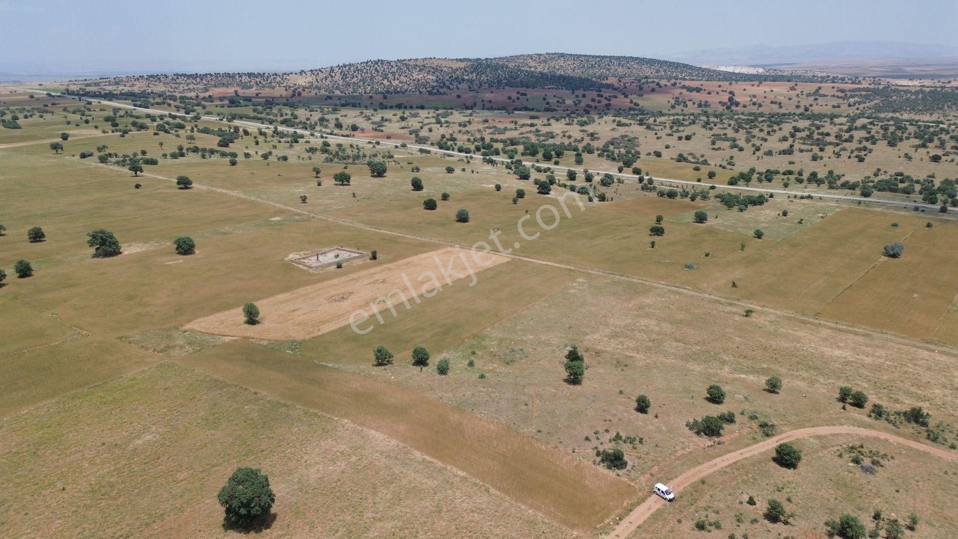 Konya / Akören / Ağalar Mahallesinde 1.876 M² Müstakil Tapulu Tarla - Görsel 7
