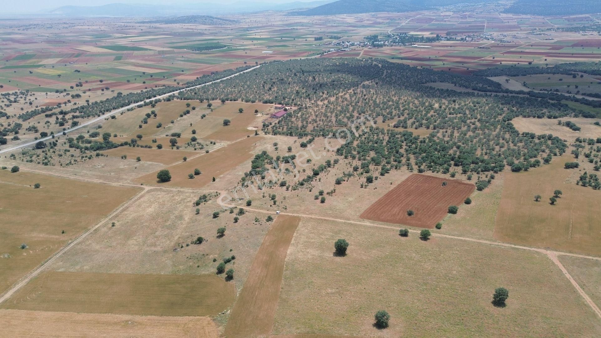 Konya / Akören / Ağalar Mahallesinde 1.876 M² Müstakil Tapulu Tarla - Görsel 3