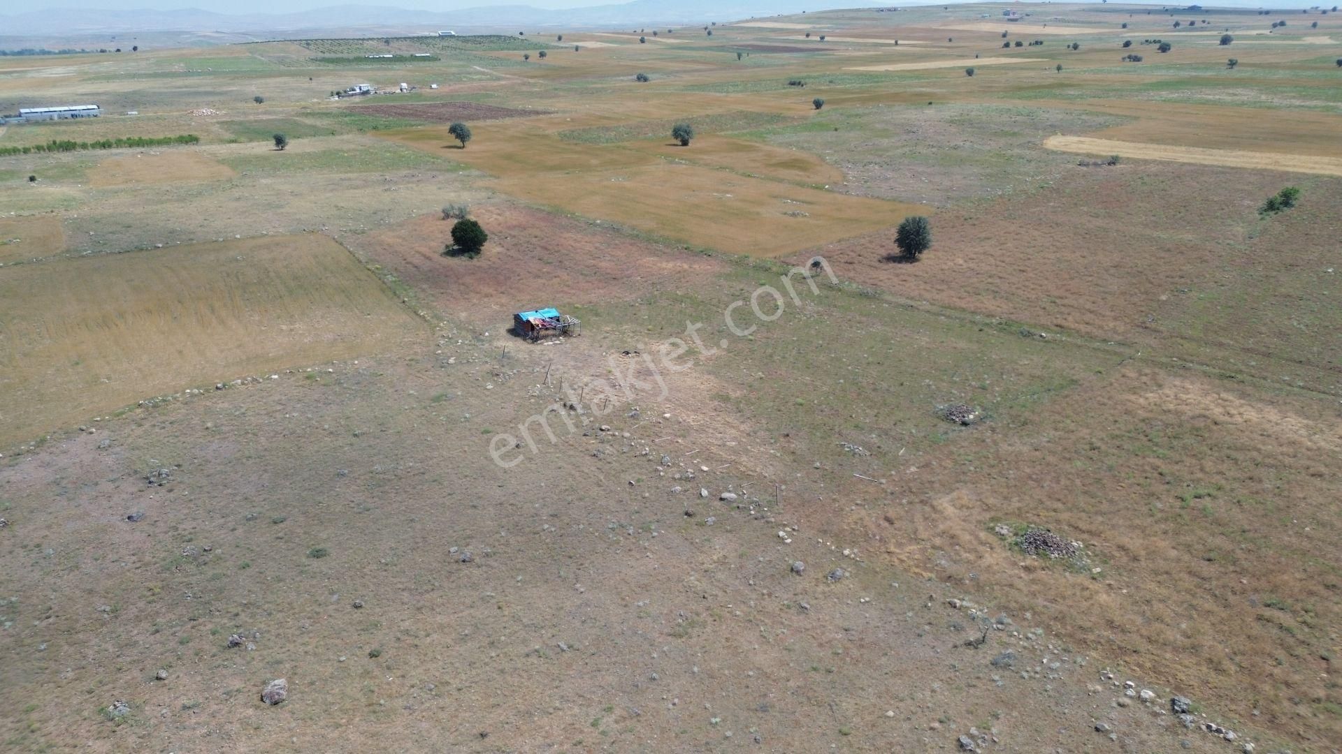 Konya / Akören / Tülce Mahallesinde 3.034 M² Müstakil Tapulu Tarla - Görsel 7