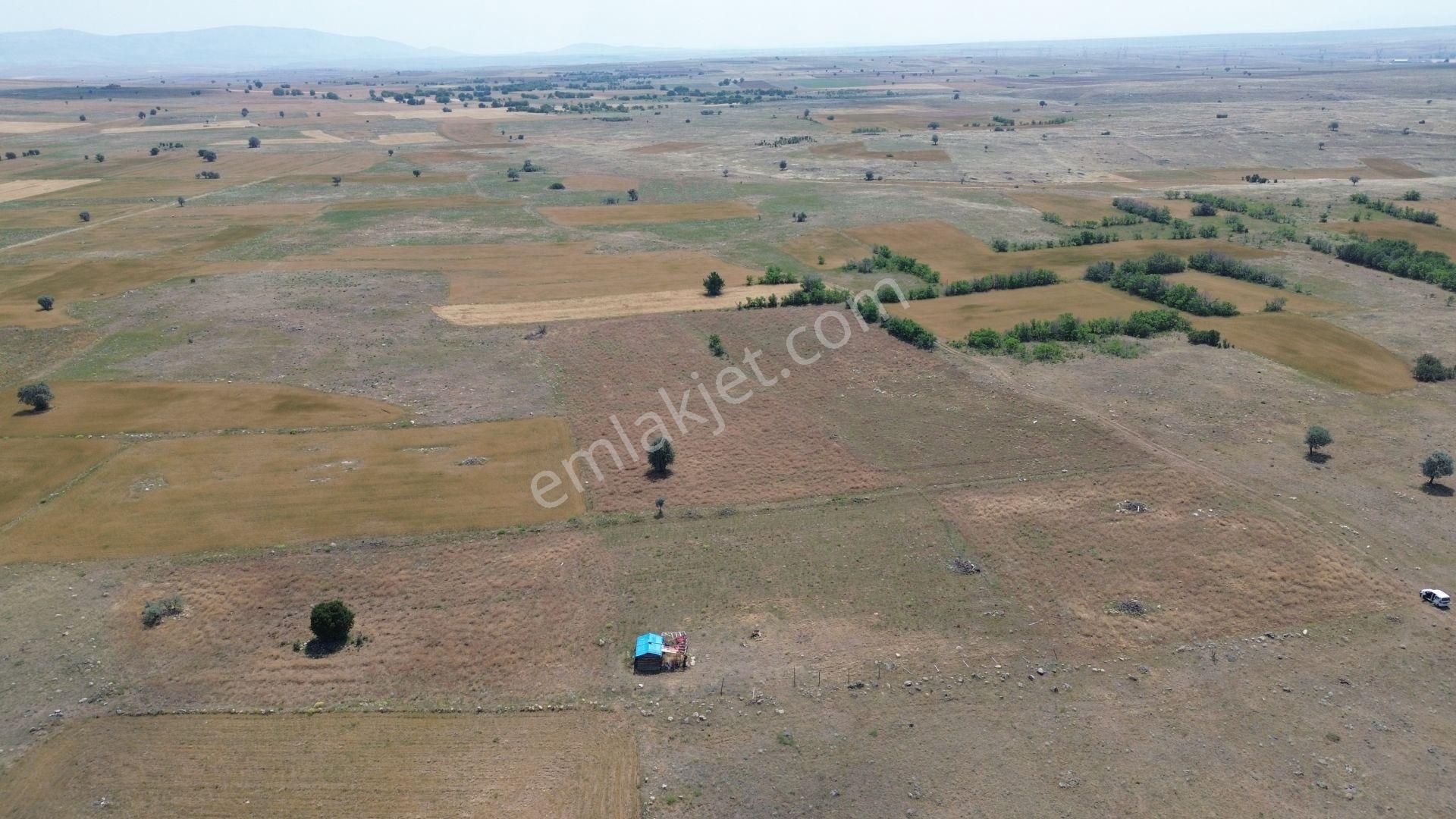 Konya / Akören / Tülce Mahallesinde 3.034 M² Müstakil Tapulu Tarla - Görsel 2