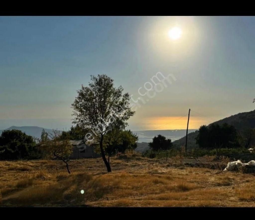 Turyap'tan Kaş Kalkan İslamlar'da Hairka Manzara Harika Konum - Görsel 2