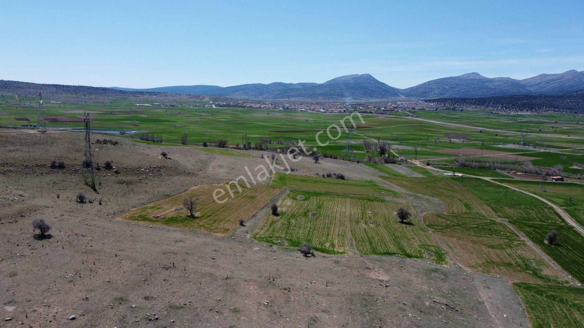 Konya / Akören / Orhaniye Mahallesinde 2.824 M² Müstakil Tapulu Tarla - Görsel 6