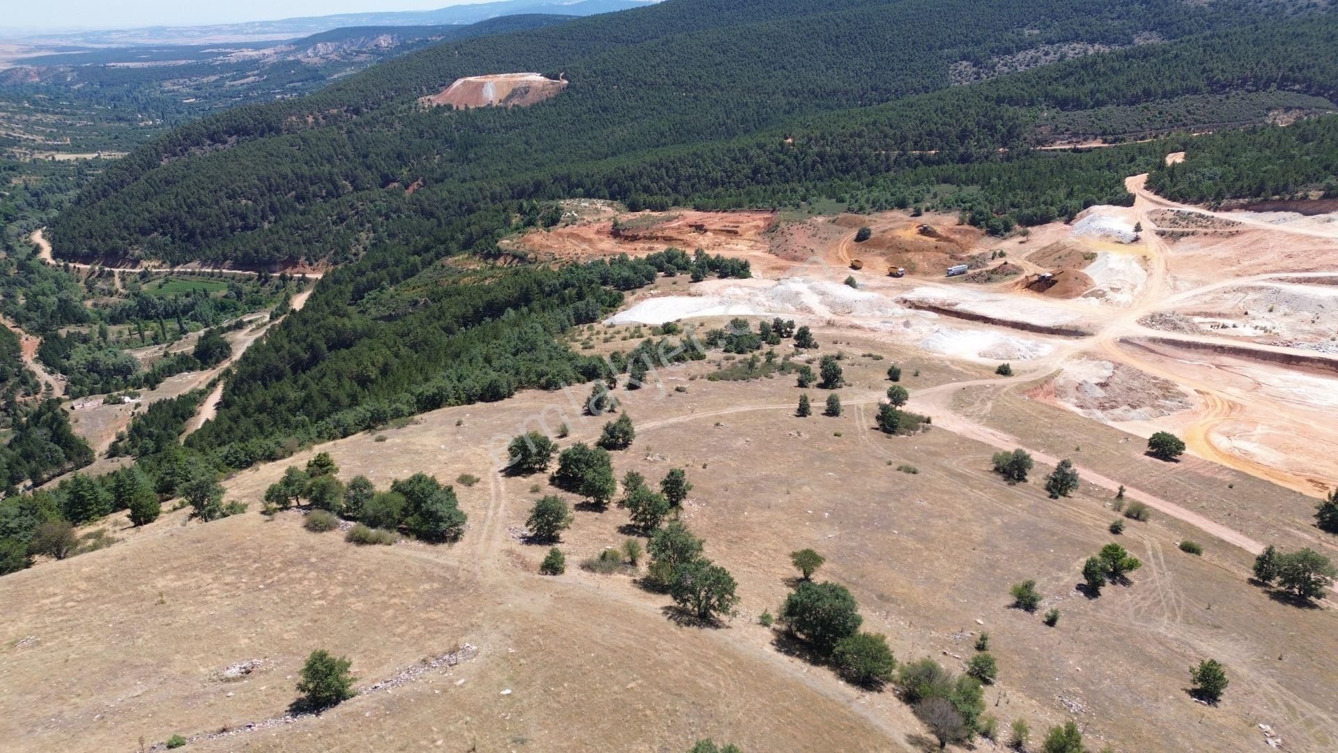 Konya / Doğanhisar / Atatürk Mahallesinde 3.932 M² Müstakil Tapulu Tarla - Görsel 6