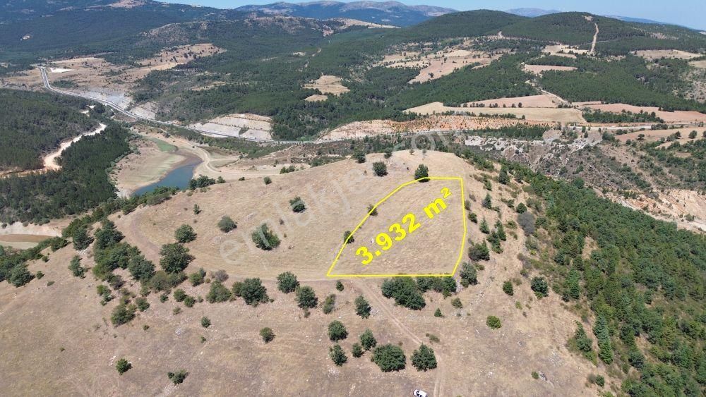 Konya / Doğanhisar / Atatürk Mahallesinde 3.932 M² Müstakil Tapulu Tarla