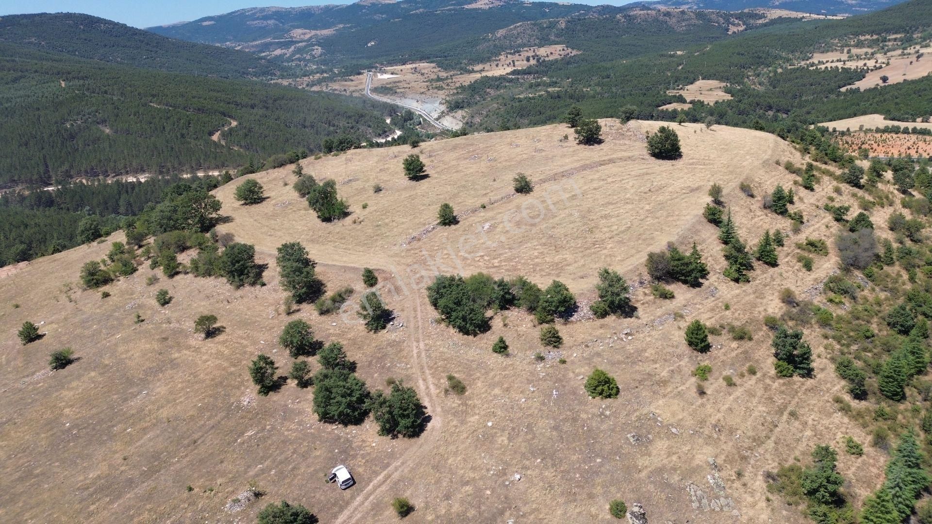 Konya / Doğanhisar / Atatürk Mahallesinde 3.932 M² Müstakil Tapulu Tarla - Görsel 7