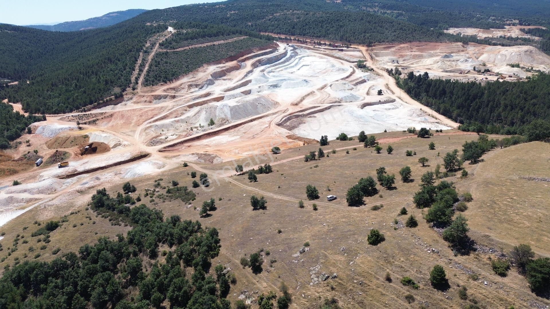 Konya / Doğanhisar / Atatürk Mahallesinde 3.932 M² Müstakil Tapulu Tarla - Görsel 5