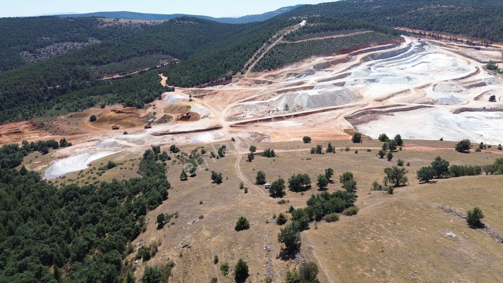 Konya / Doğanhisar / Atatürk Mahallesinde 3.932 M² Müstakil Tapulu Tarla - Görsel 4