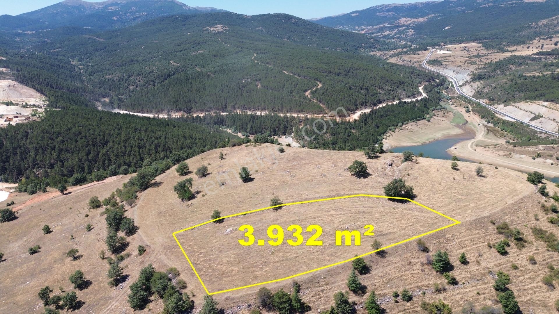 Konya / Doğanhisar / Atatürk Mahallesinde 3.932 M² Müstakil Tapulu Tarla - Görsel 8