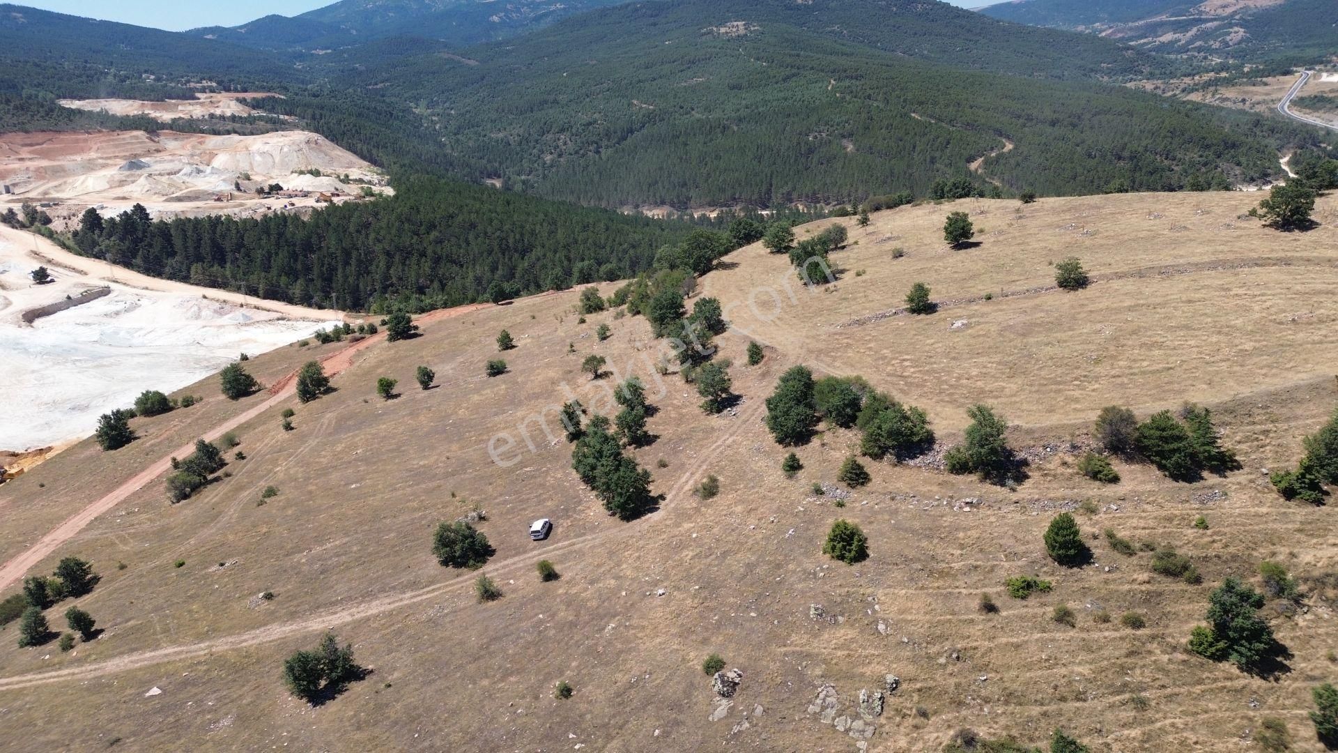 Konya / Doğanhisar / Atatürk Mahallesinde 3.932 M² Müstakil Tapulu Tarla - Görsel 3
