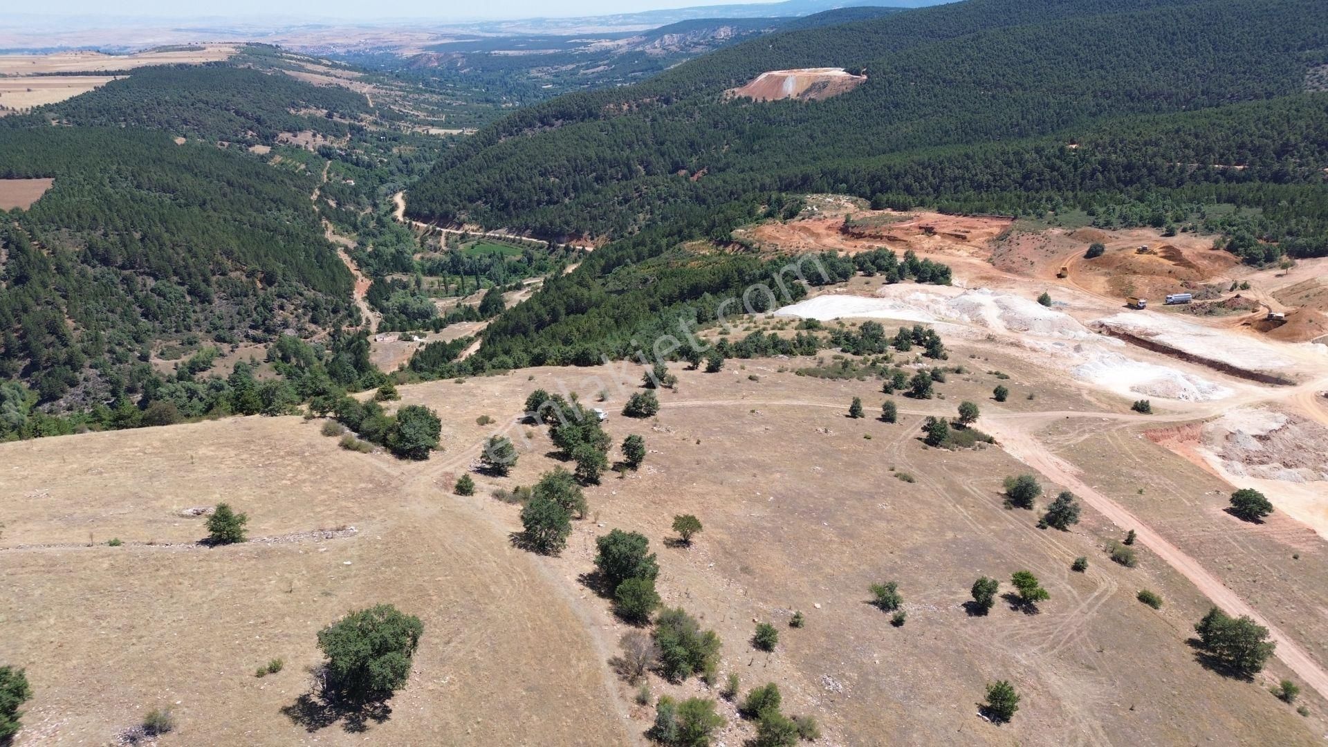 Konya / Doğanhisar / Atatürk Mahallesinde 3.932 M² Müstakil Tapulu Tarla - Görsel 2