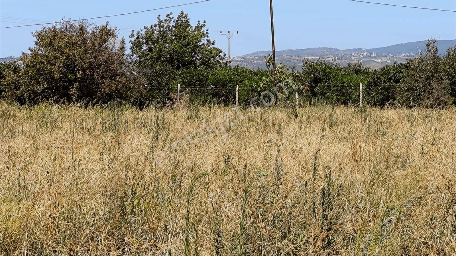 Kuşadası Davutlar'da Deniz Manzaralı Satılık Tarla - Görsel 6