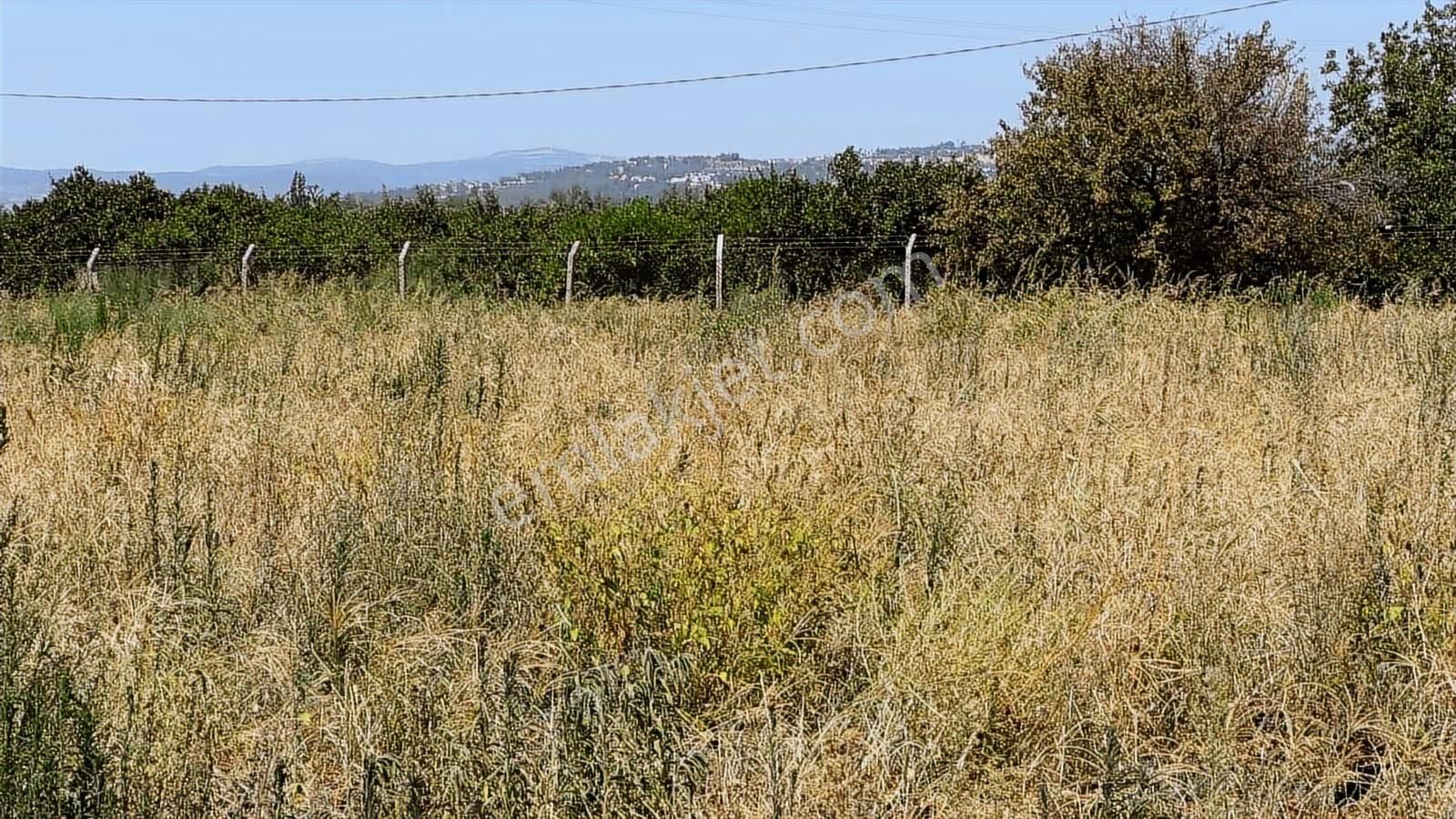 Kuşadası Davutlar'da Deniz Manzaralı Satılık Tarla - Görsel 8