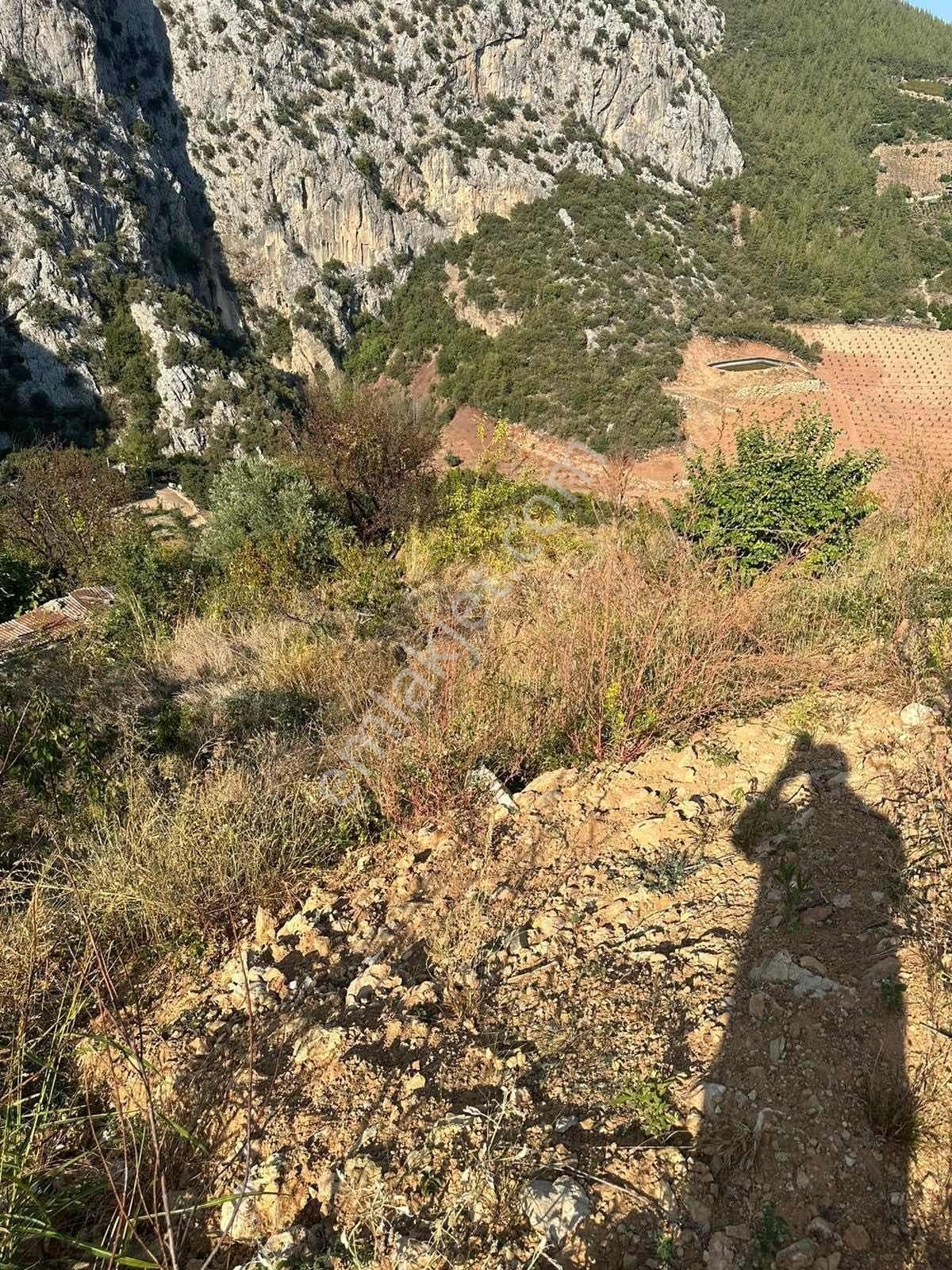 Toroslar Darısekesi Şelale Manzaralı Kelepir Hobby Bahcesi - Görsel 32
