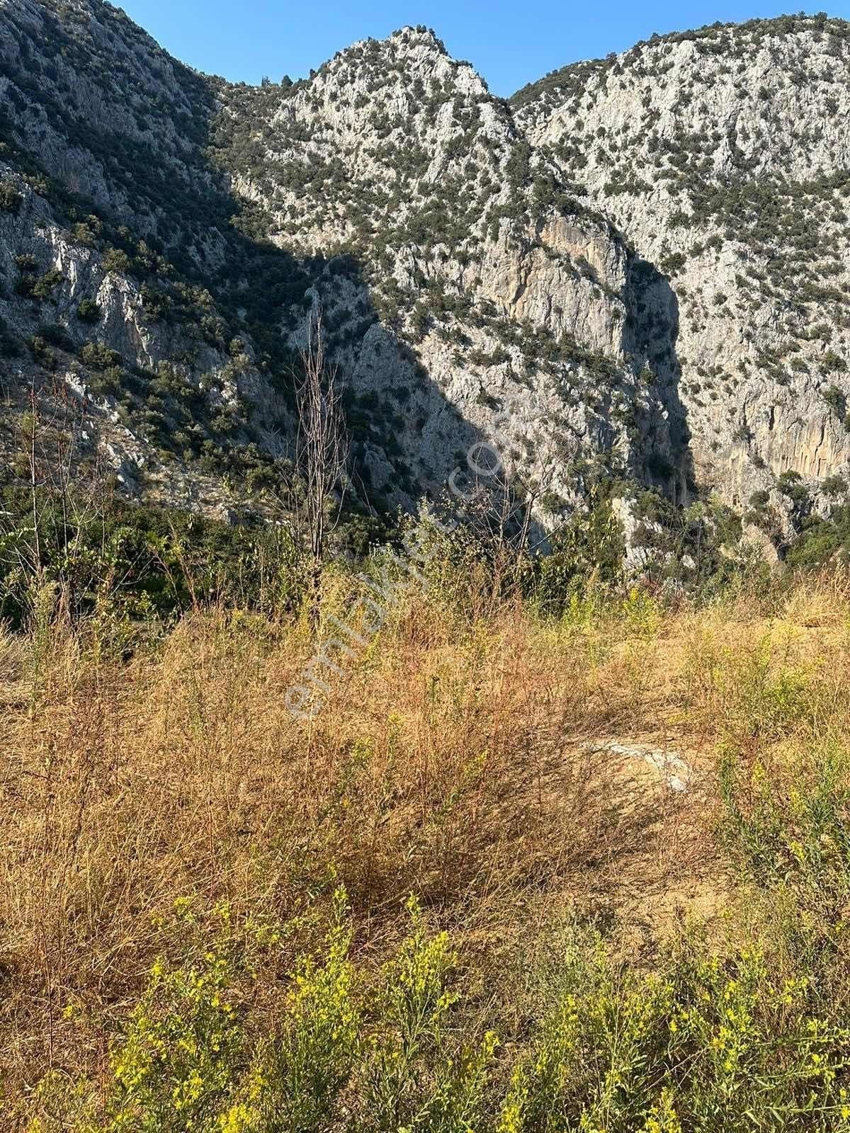 Toroslar Darısekesi Şelale Manzaralı Kelepir Hobby Bahcesi