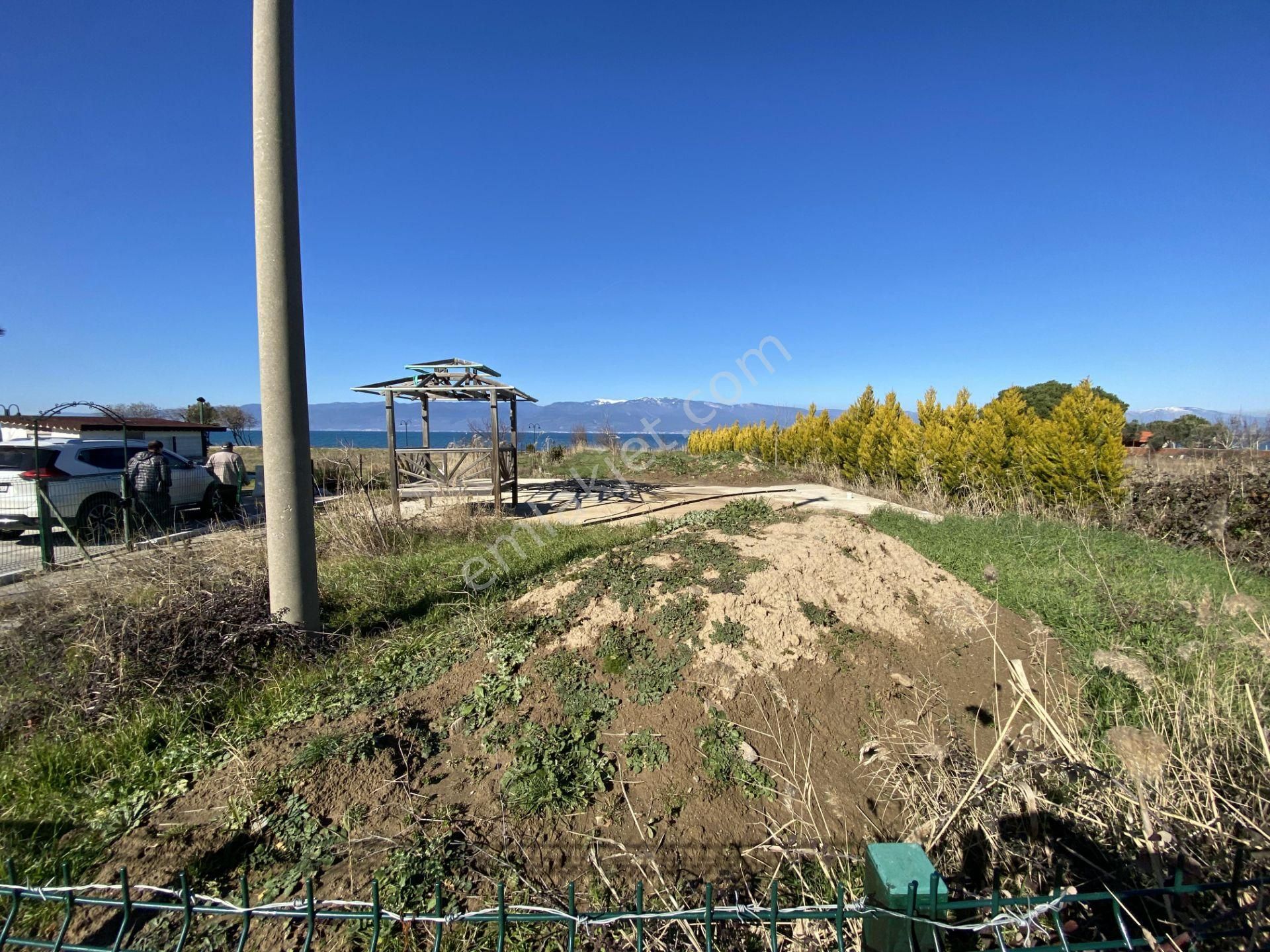 Burhaniye De Satılık 1.155 Metre Kare Arsa.denize Sıfır. - Görsel 3