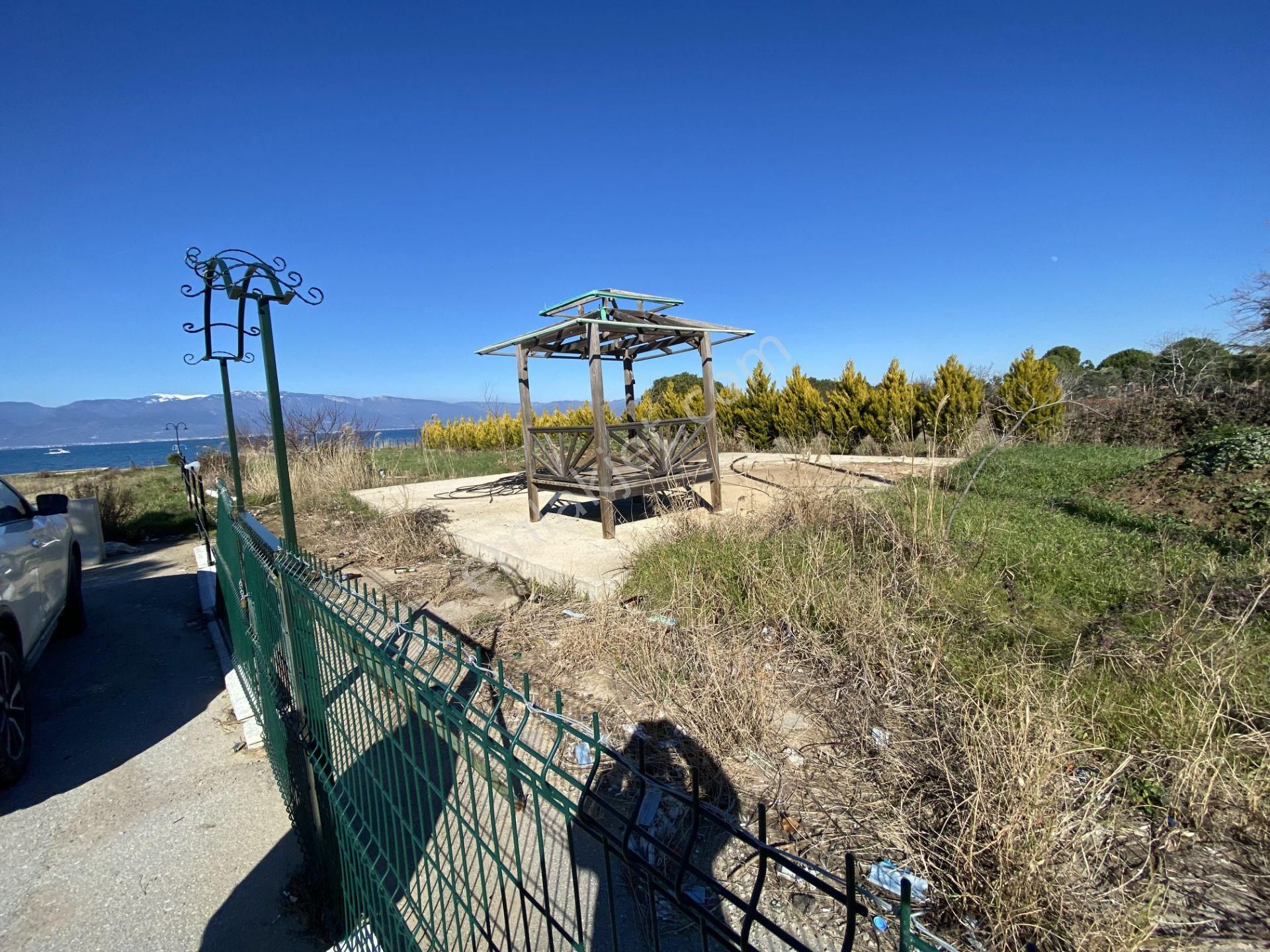 Burhaniye De Satılık 1.155 Metre Kare Arsa.denize Sıfır. - Görsel 8