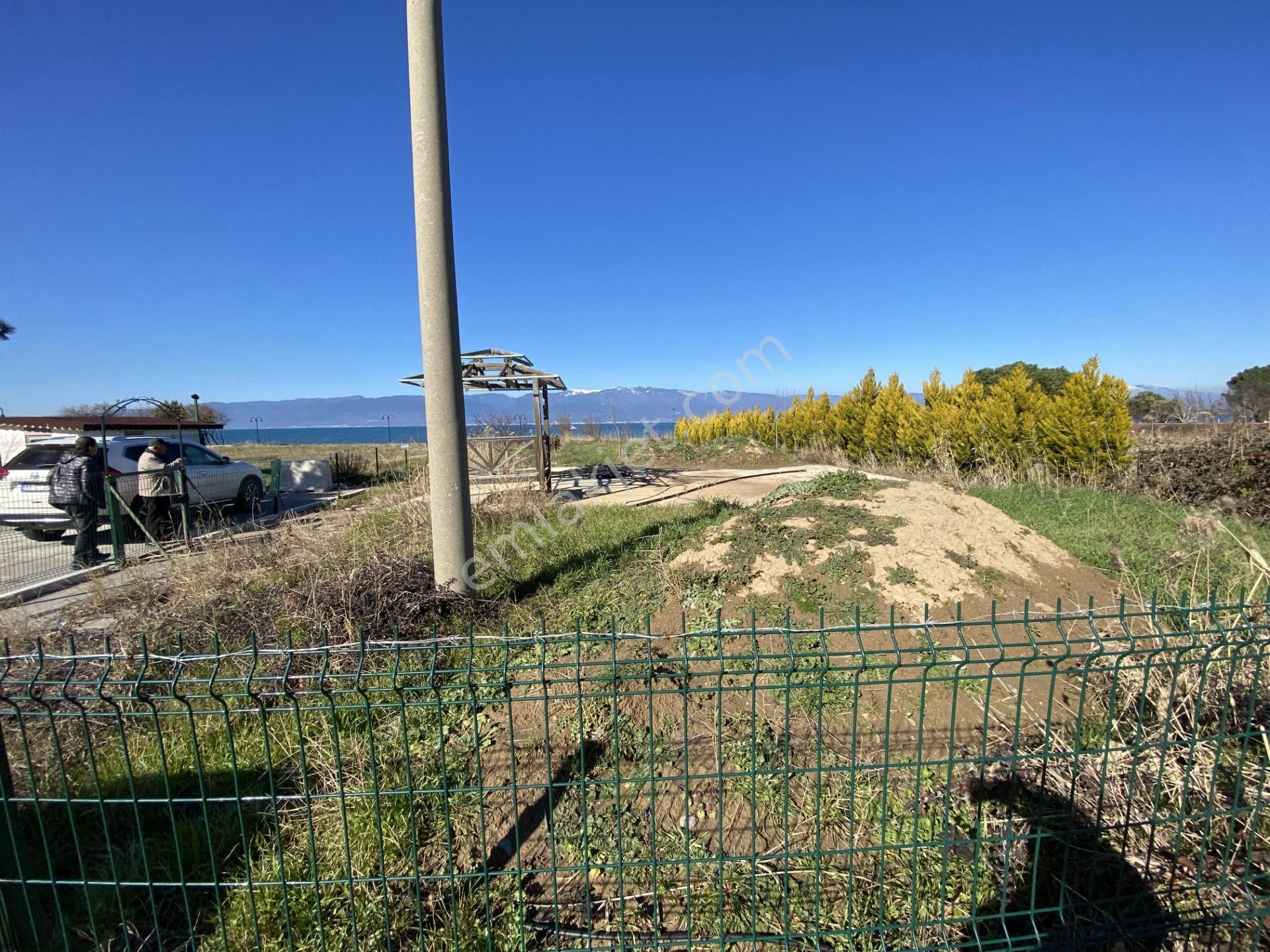 Burhaniye De Satılık 1.155 Metre Kare Arsa.denize Sıfır. - Görsel 10