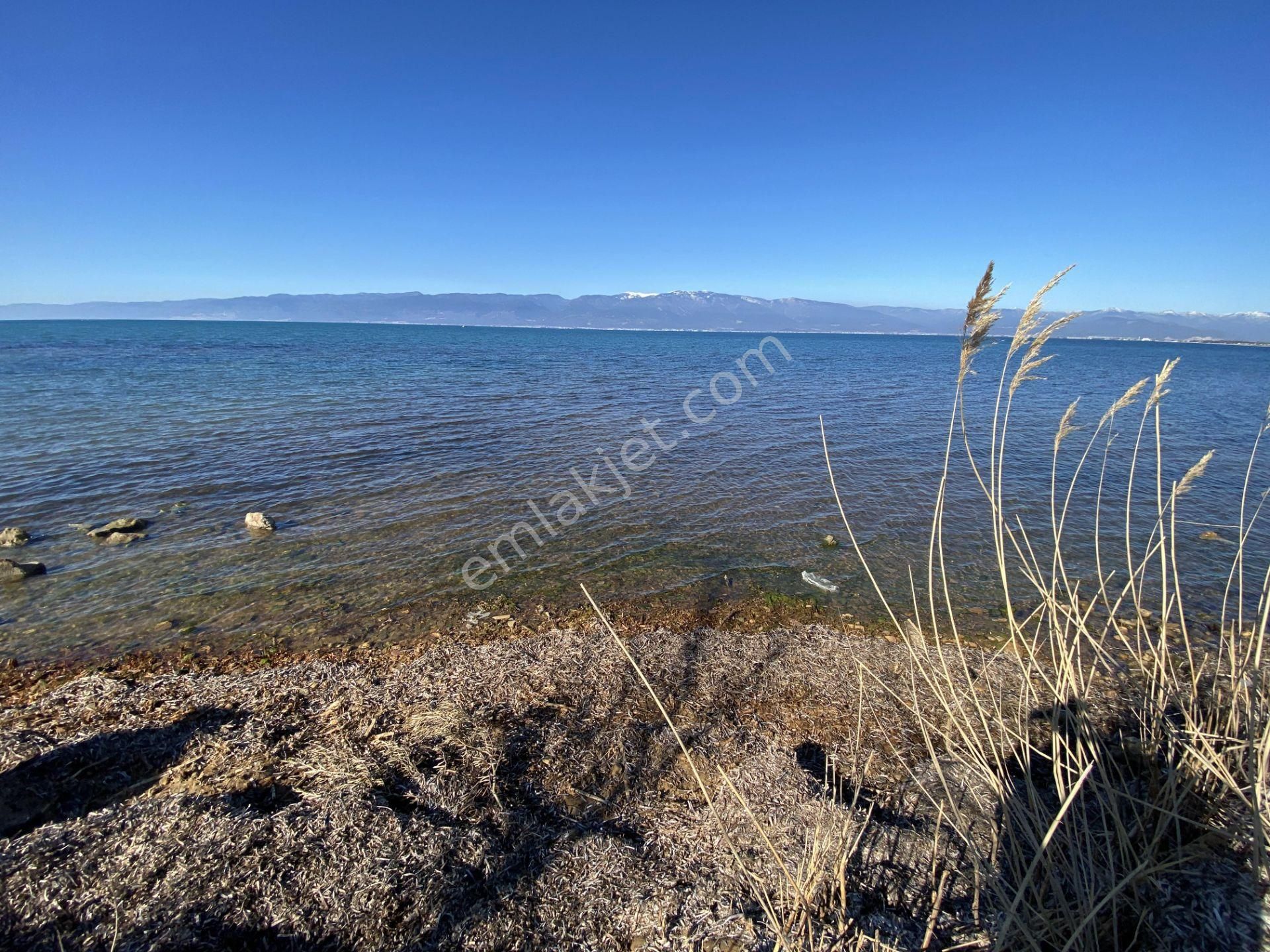 Burhaniye De Satılık 1.155 Metre Kare Arsa.denize Sıfır. - Görsel 7