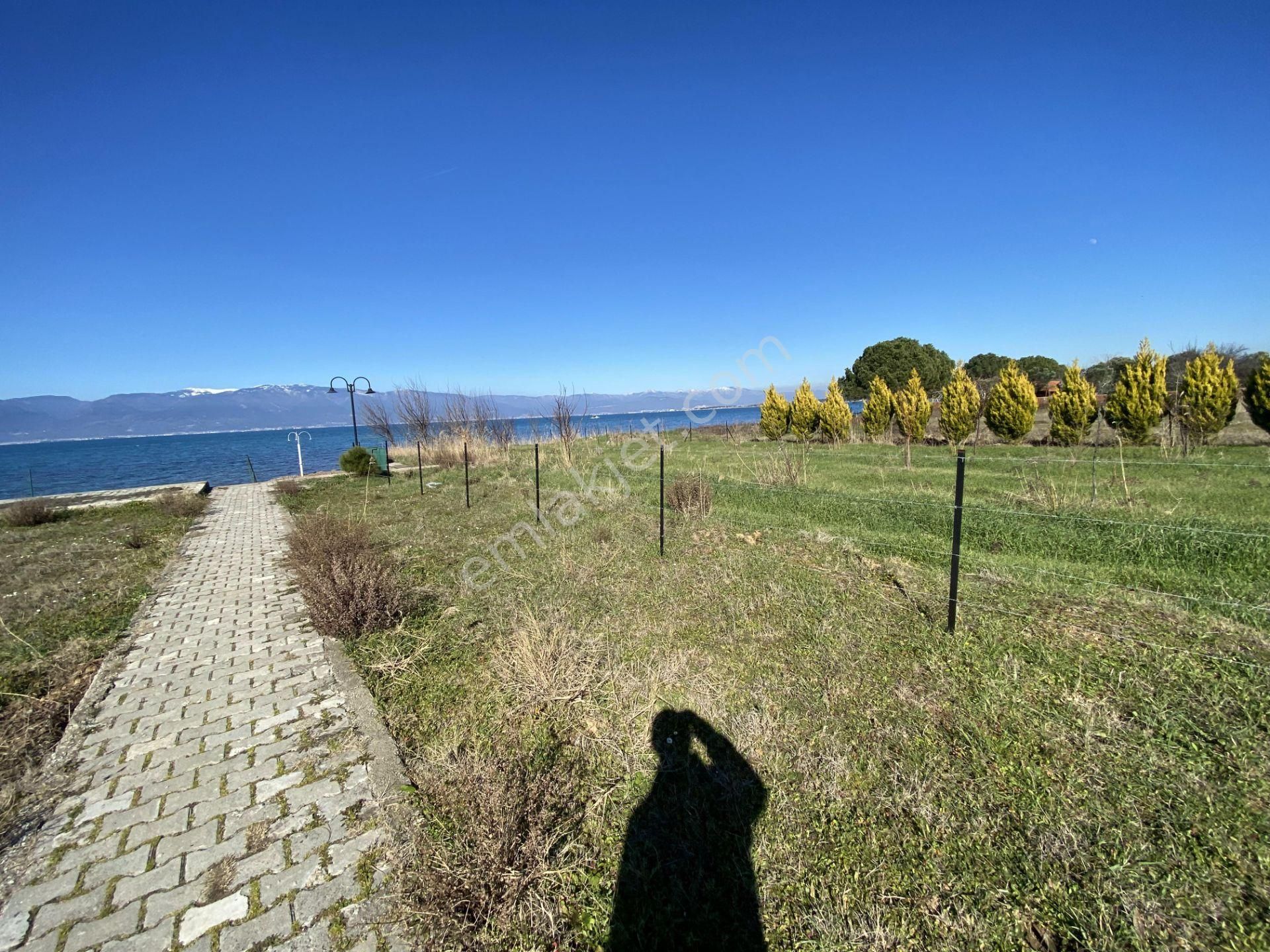 Burhaniye De Satılık 1.155 Metre Kare Arsa.denize Sıfır. - Görsel 5